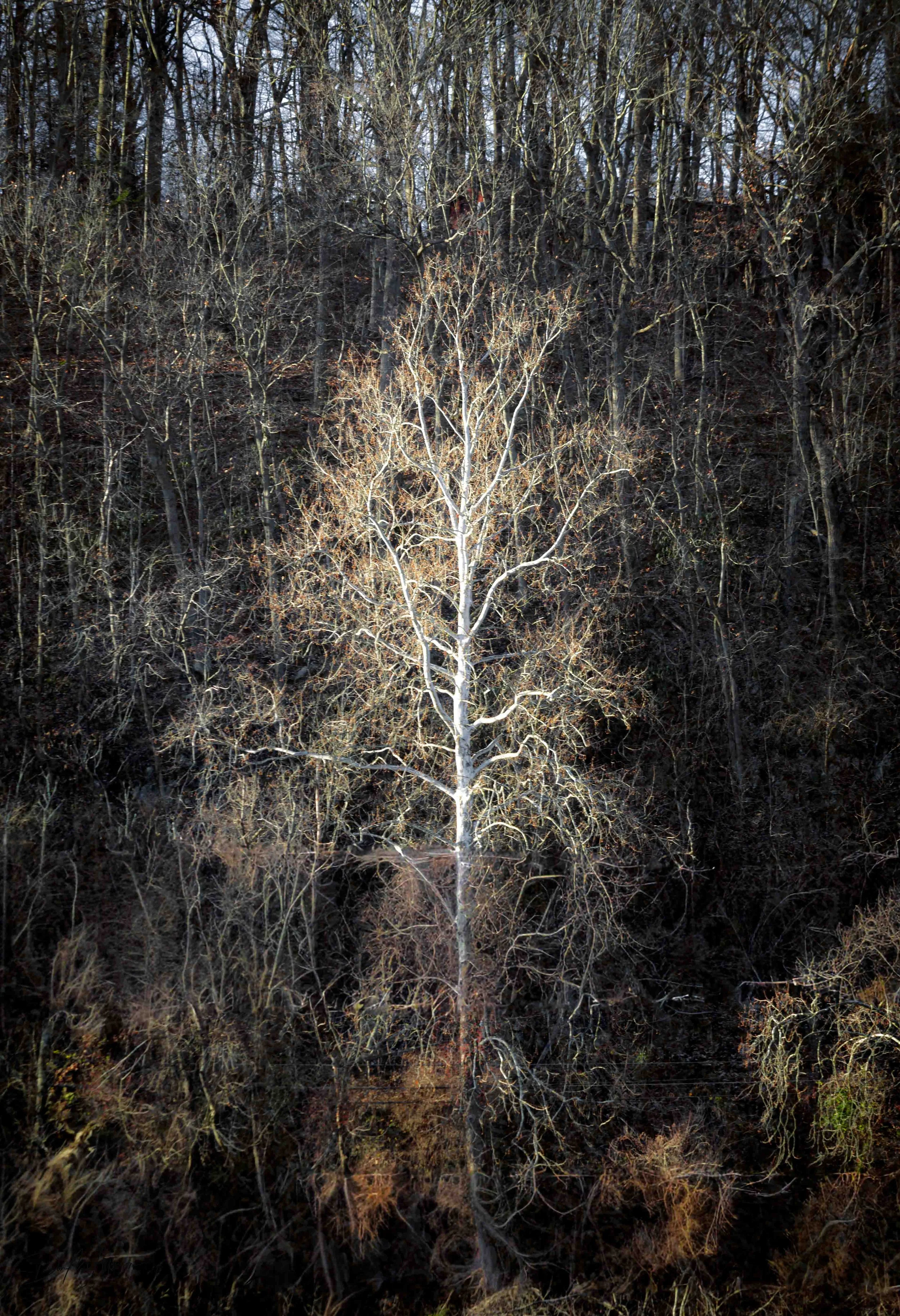 _E5A9140-Edit-2.jpg