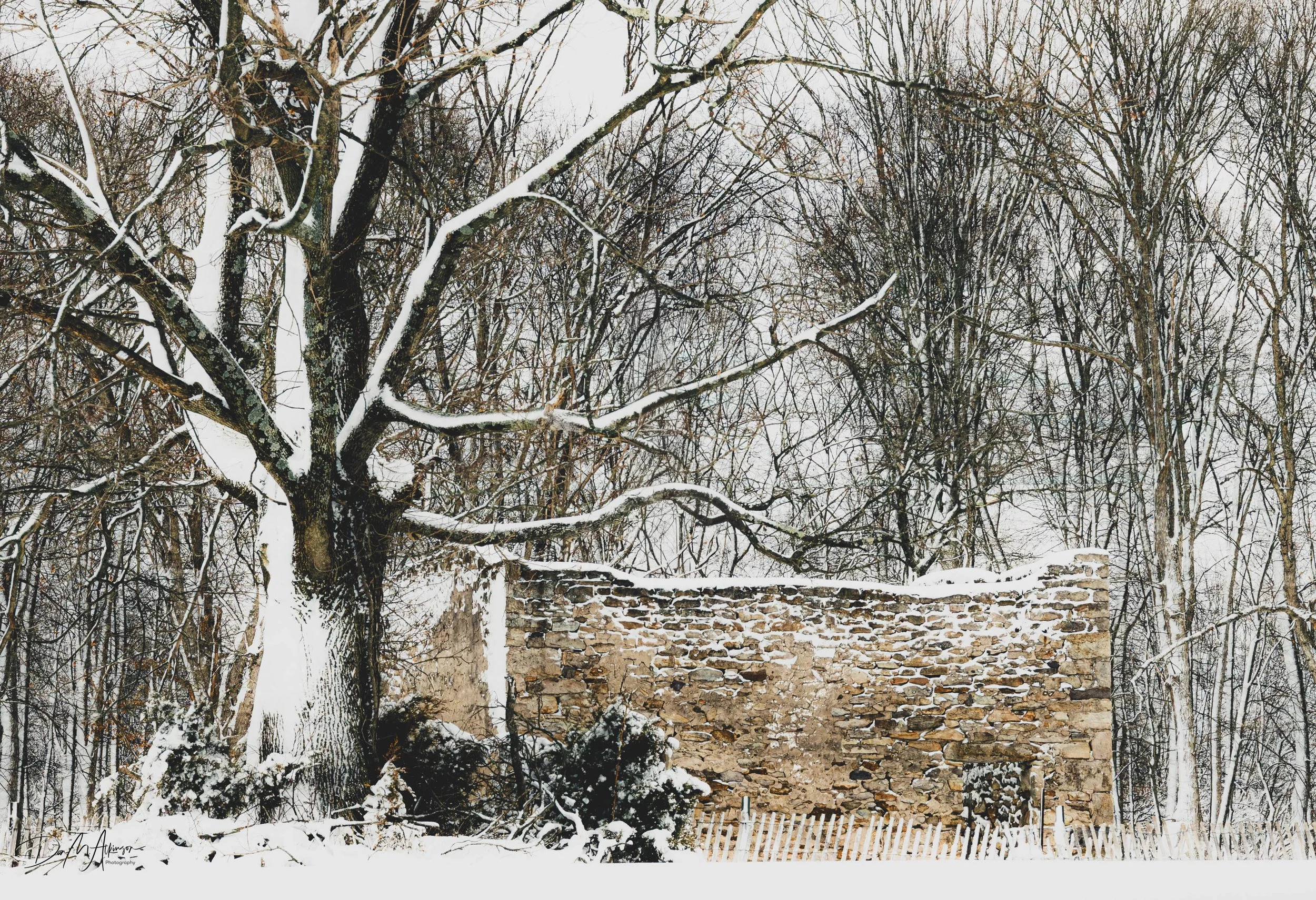 2E5A6993-Edit.jpg
