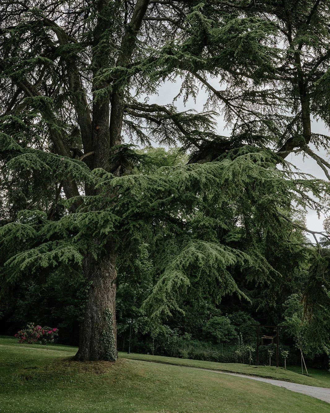 photo_2026-02-05 17.04.19.jpeg