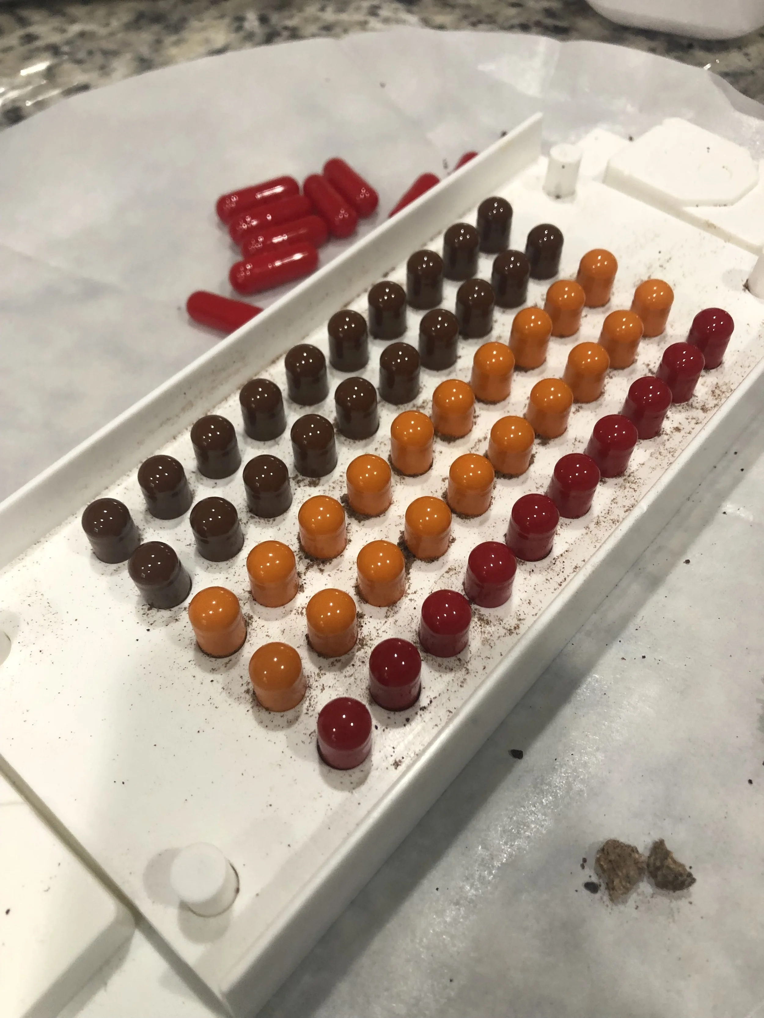 A tray with several rows of colorful placenta capsules. Natural holistic placenta capsules for postpartum. Postpartum placenta pills. Placenta encapsulation. DIY Placenta encapsulation kit.