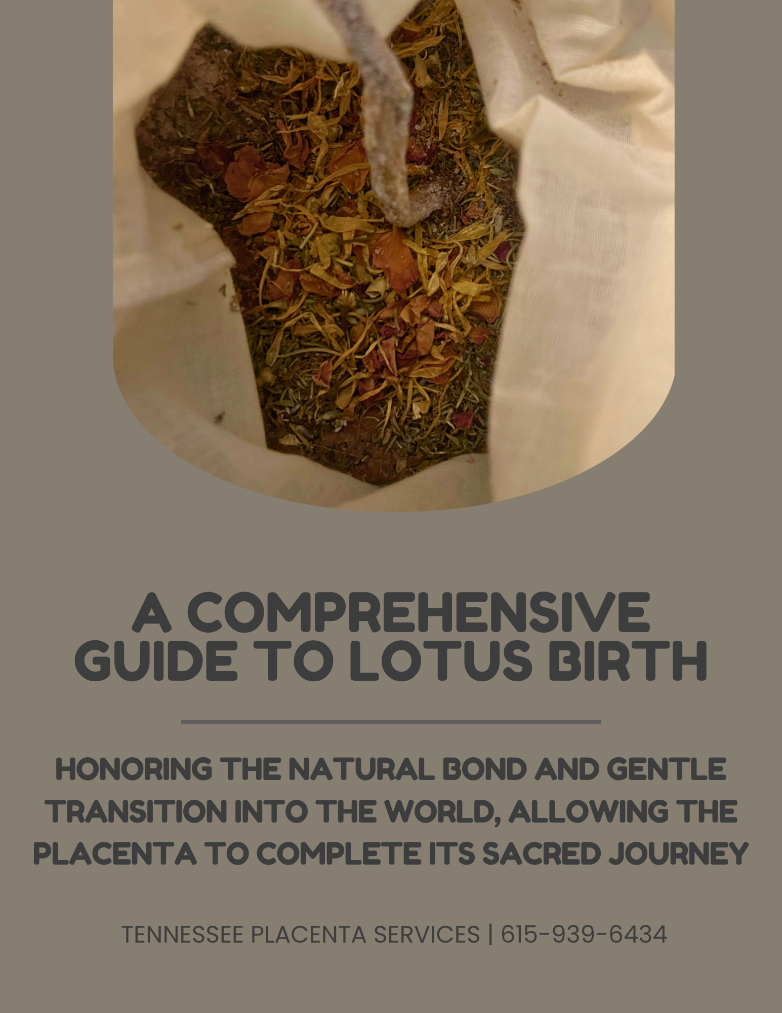 Lotus Birth Guide Tennessee Placenta Services Lotus Birth Guide Tennessee Placenta Services