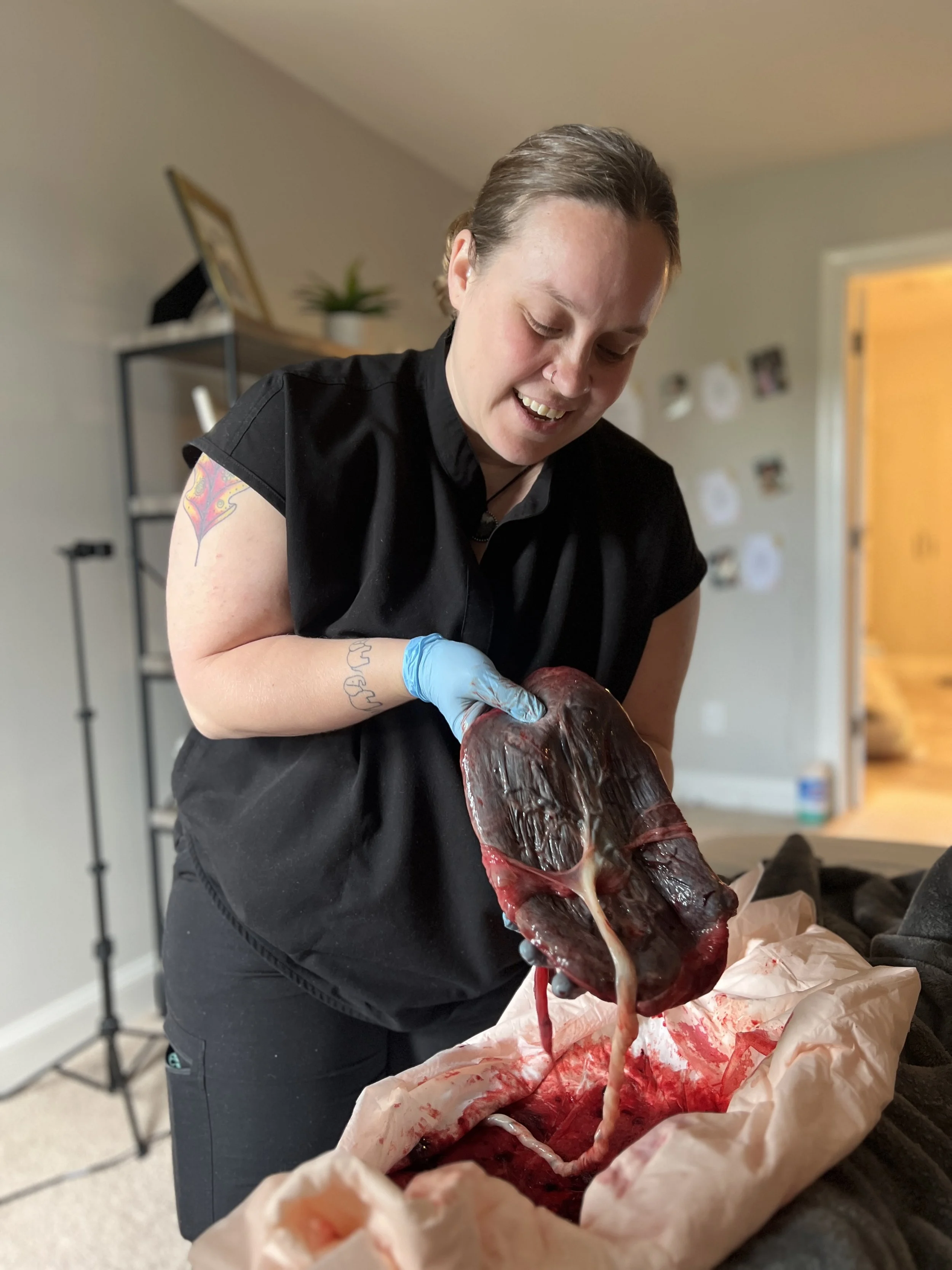 Woman wearing black shirt and gloves happily holding placenta beginning placenta encapsulation process