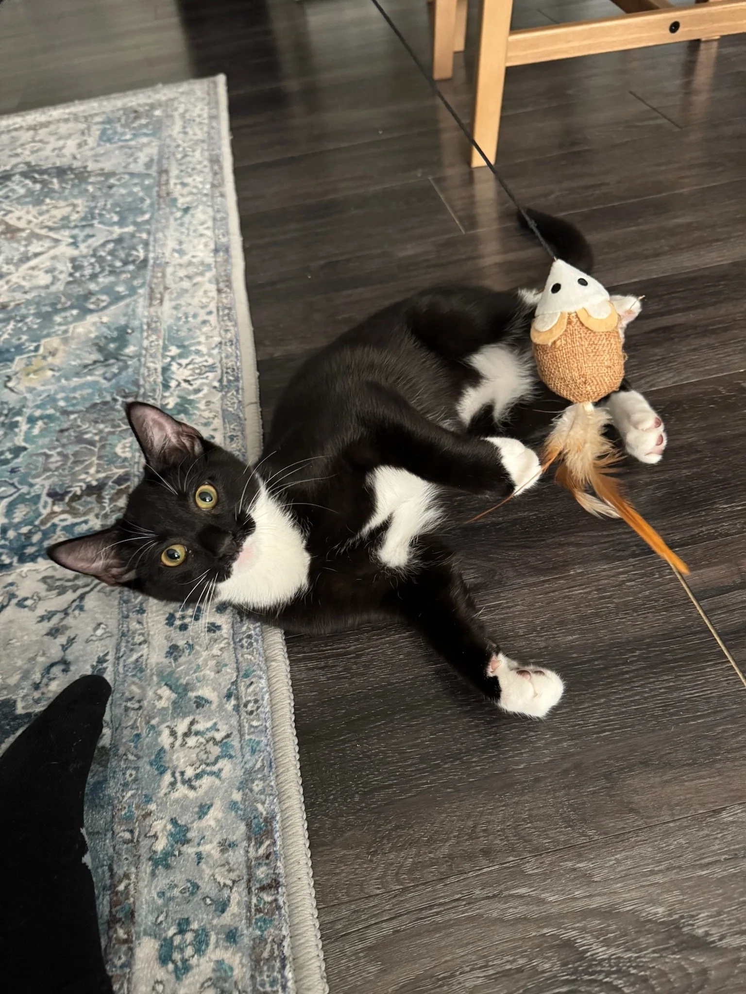 Frasier Carter-Lenchner!