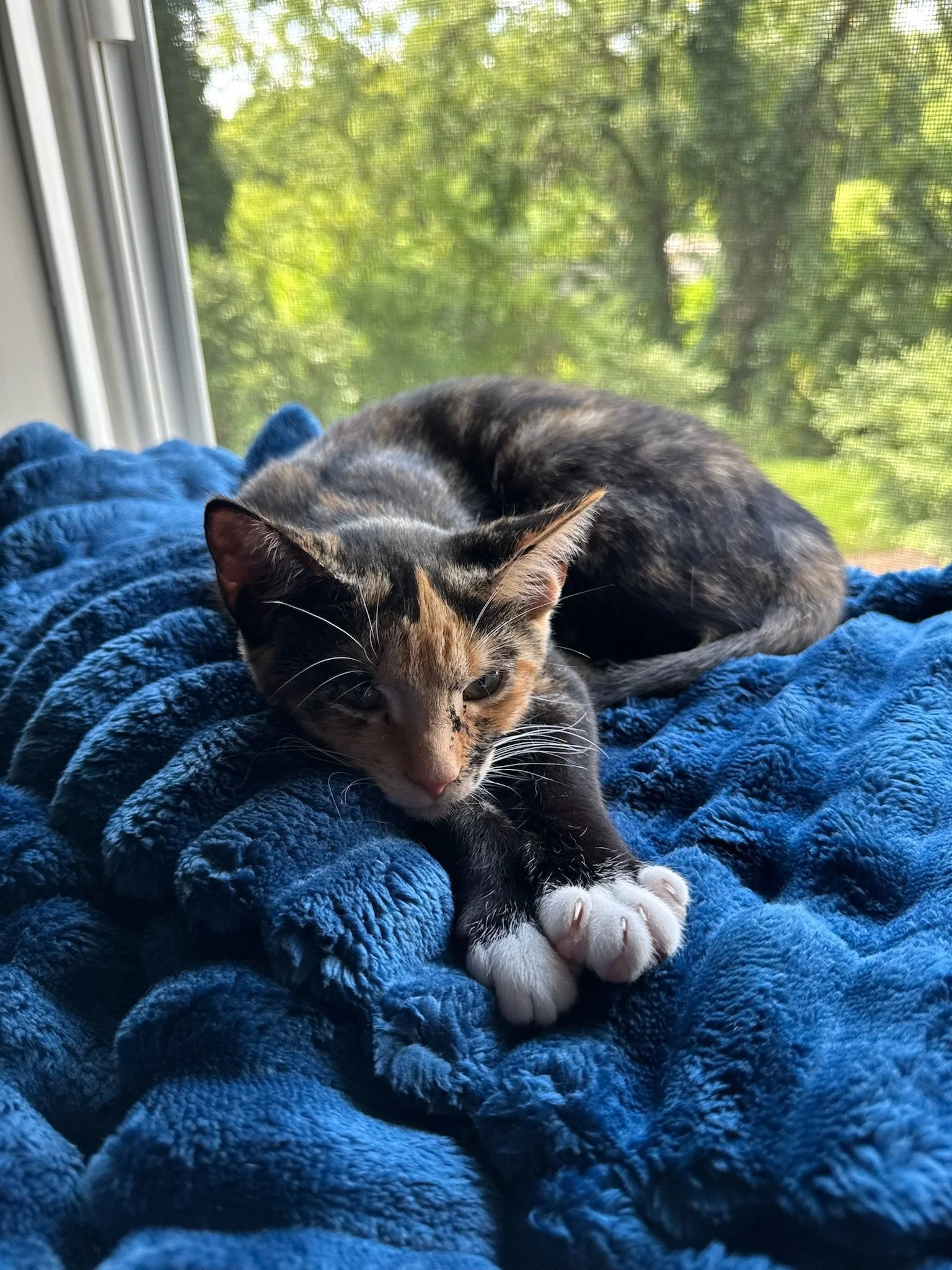 Juno Carter-Lenchner!