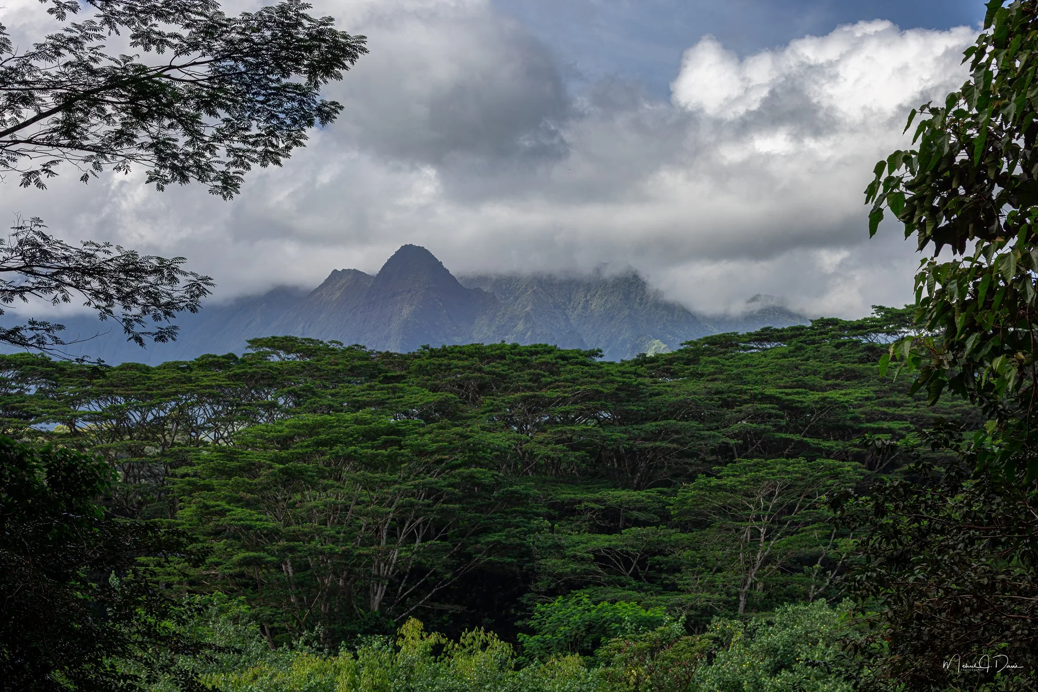 Kauai-158-Edit.jpg