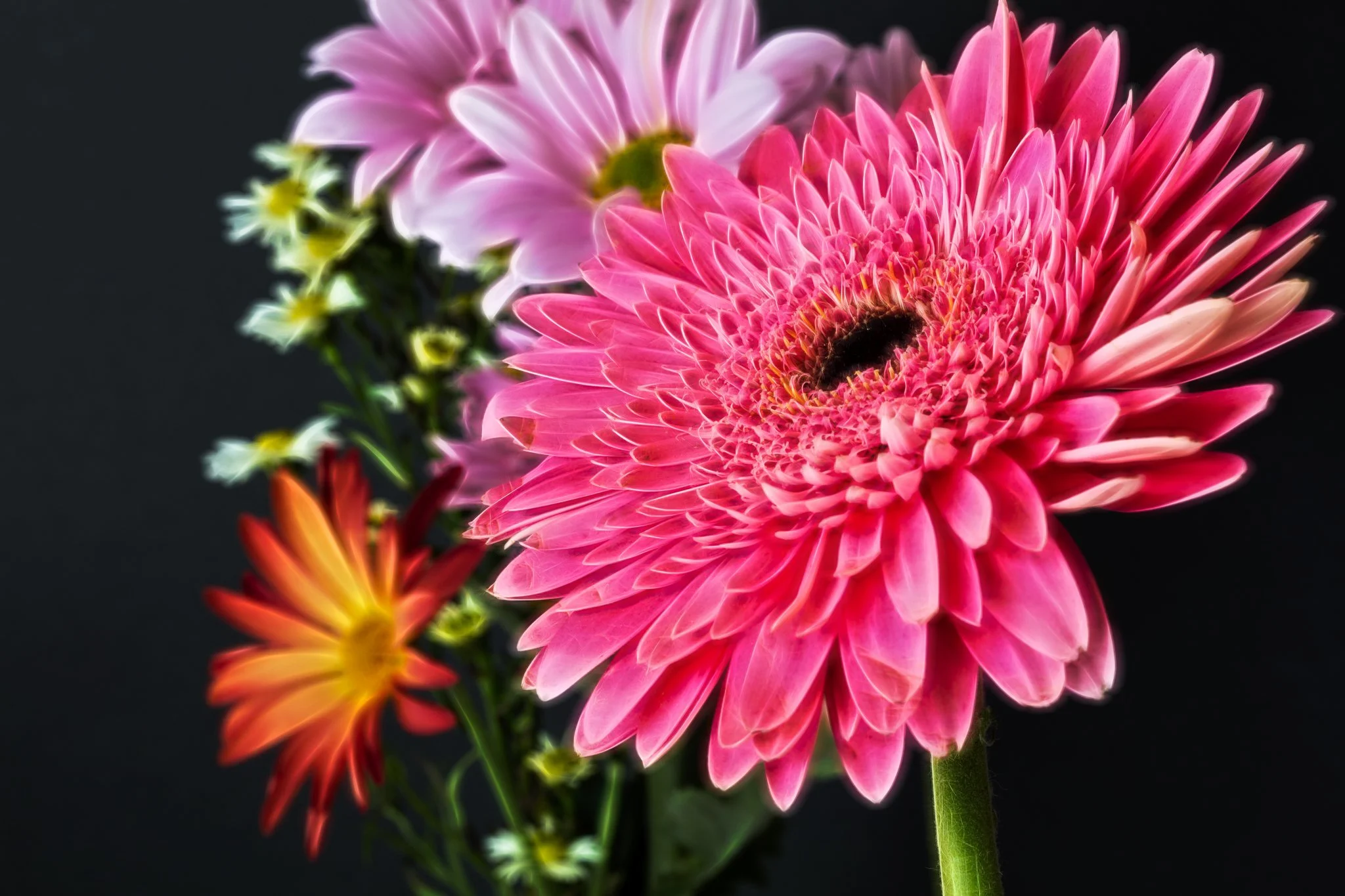 New Year Flowers-12-Edit.jpg