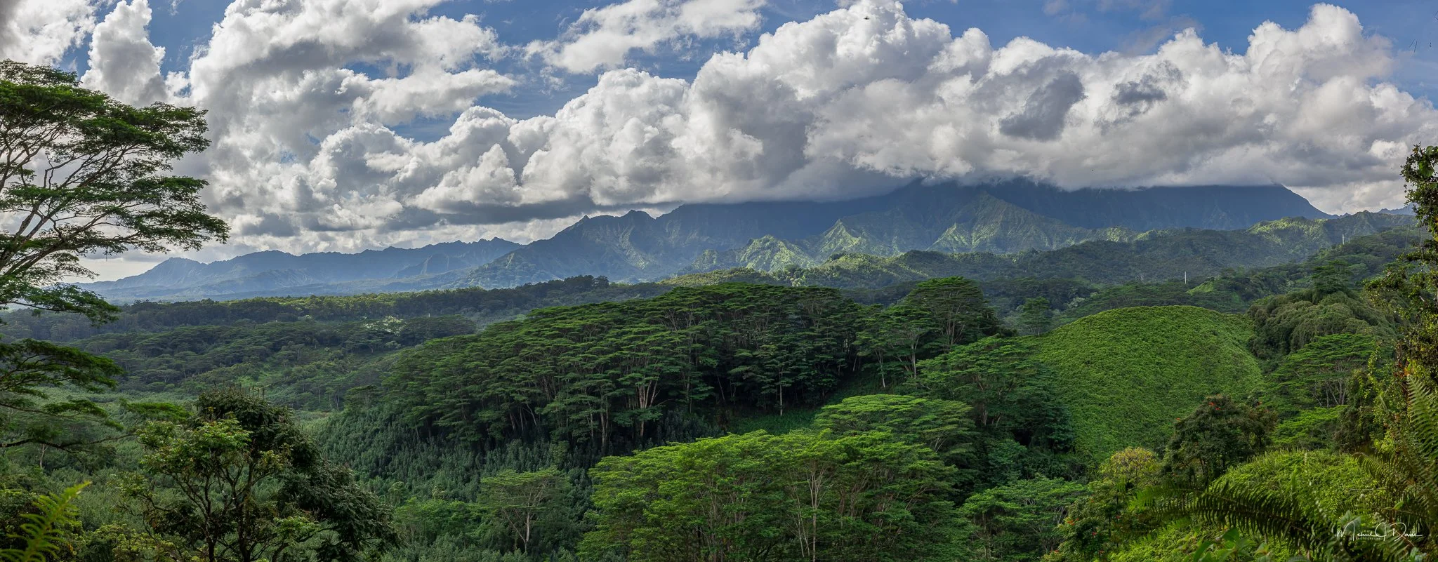 Kauai-169-Pano-Edit-Edit.jpg