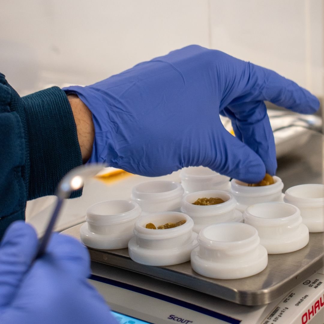 Each and every Crispy Concentrate is carefully weighed by hand, ensuring consistency and quality in every jar. 💨✨