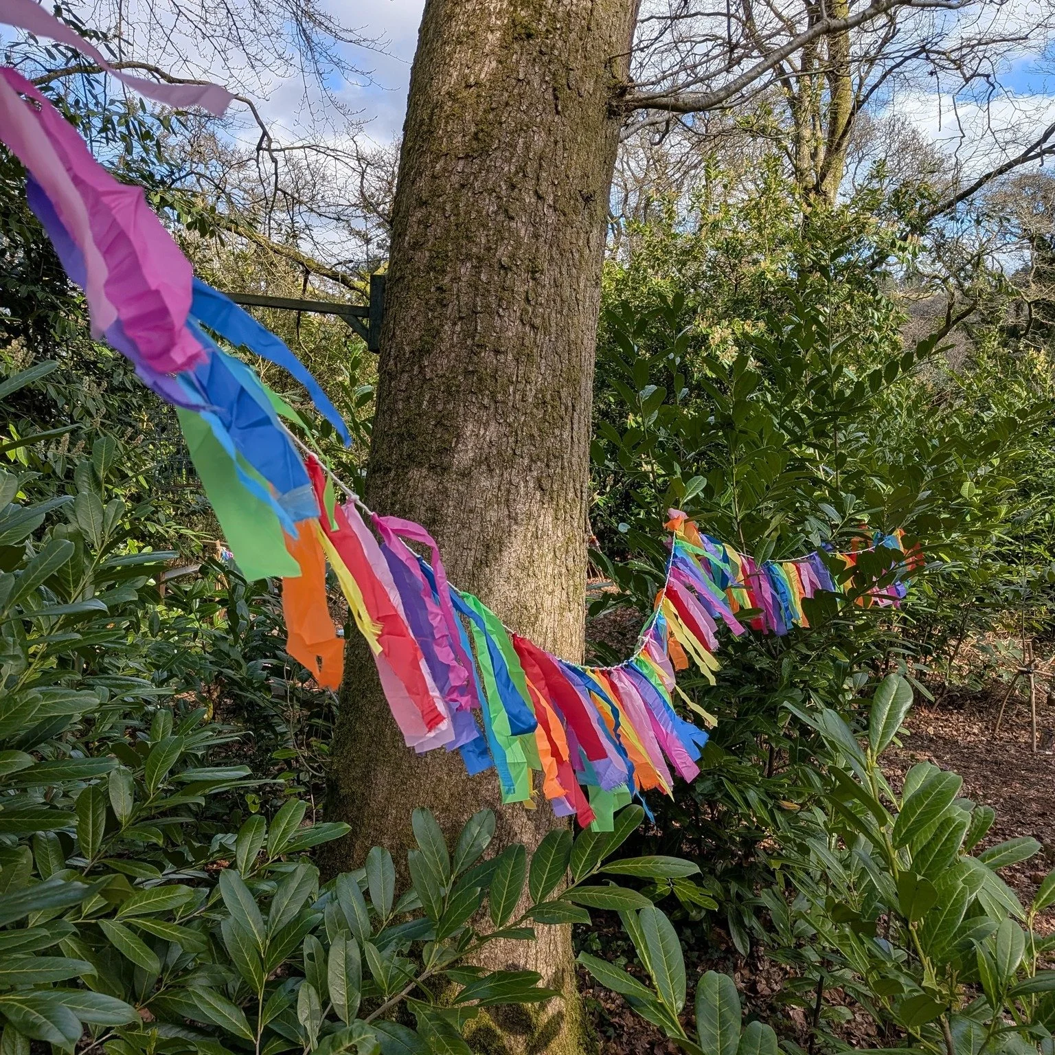 SAVE THE DATE! THURS 7TH MAY! 
Story Bears @ Saplings in the Wood!!

We are excited to announce that we will be setting up in Sapling's beautiful woodland for stories and fun! 
Enjoy a story session with us on the mats then head off to explore the fa