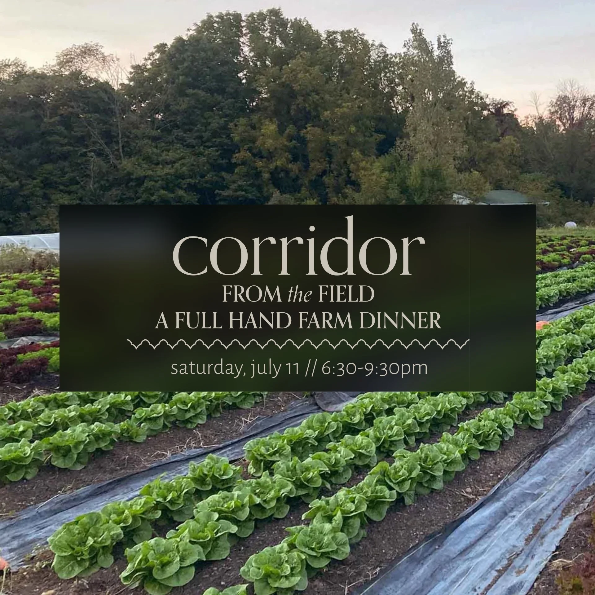 From the Field: A Full Hand Farm Dinner