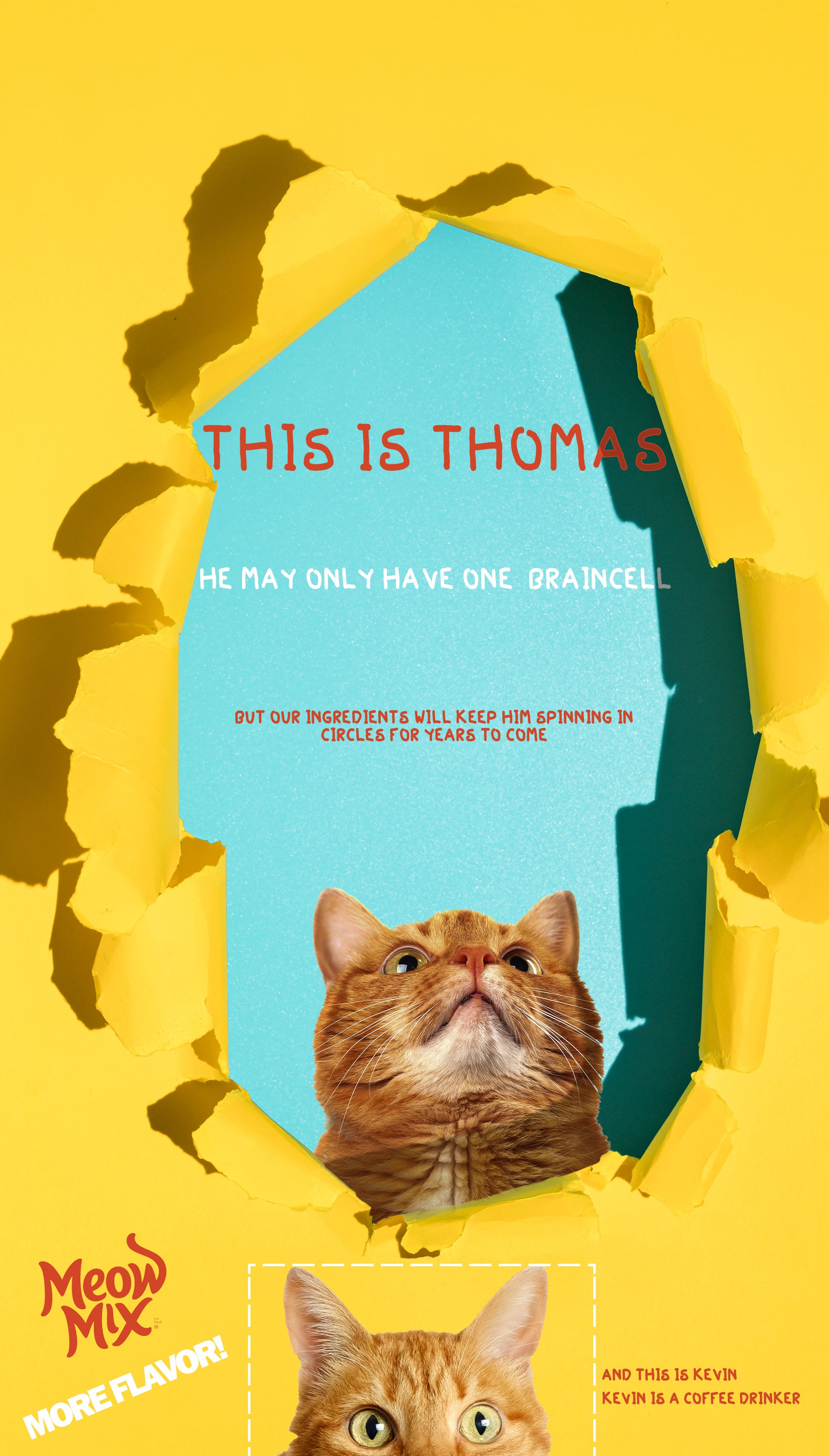 meowmix.jpg