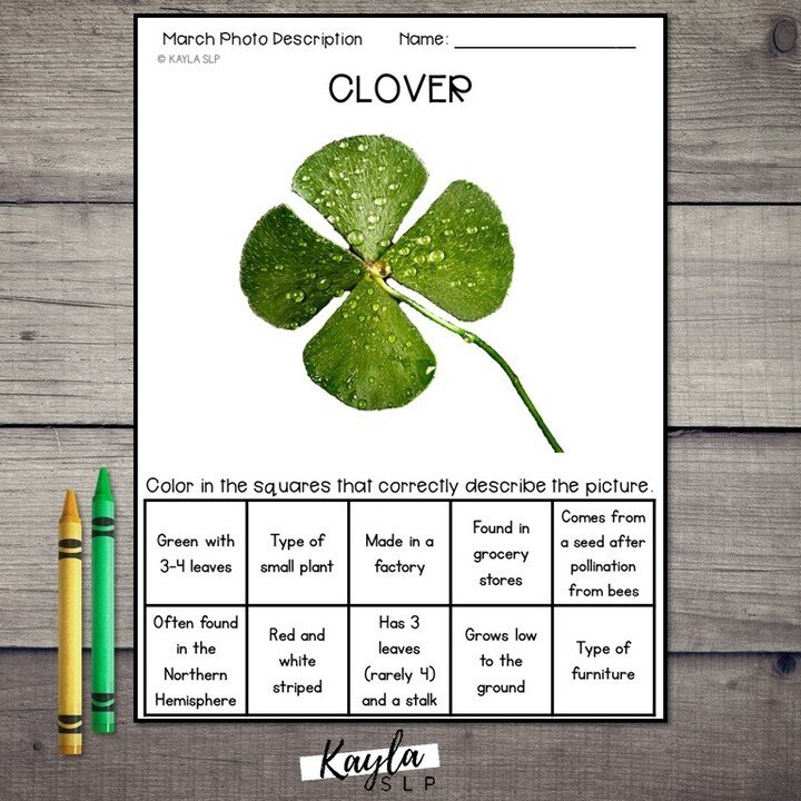 This is a leveled describing activity themed around monthly themed vocabulary. It includes real photographs (no clip art) to represent each word. Included are 10 pictures, each with 3 levels of describing worksheets (aka, each picture includes 3 work