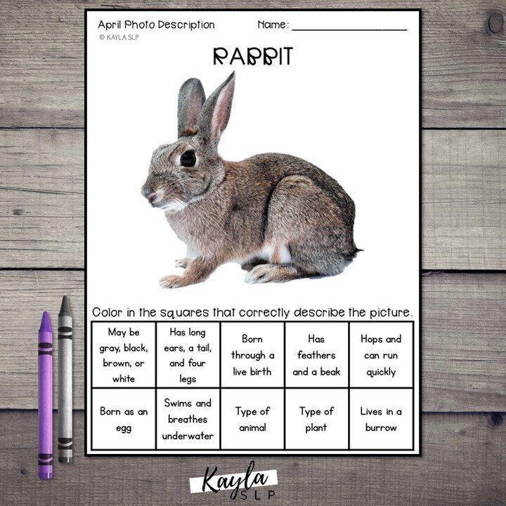 🌸 Spring into language therapy with these leveled photo-describing worksheets!  Whether your students are budding writers or struggling with descriptive language, these April-themed no-prep resources will keep them engaged and practicing important s