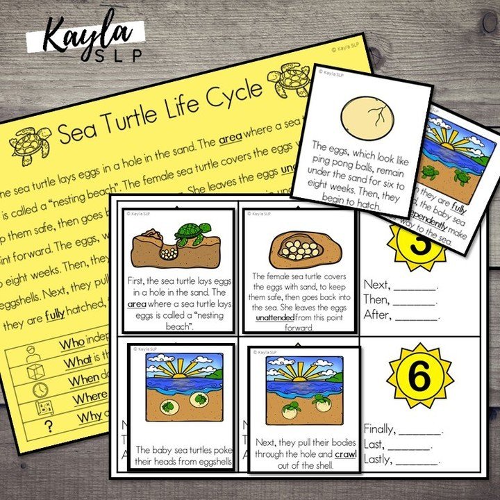 🐢 Get ready to dive into summer language adventures! 🐢⁠
⁠
Discover the wonders of the season with my NON-FICTION summer-themed packet filled with exciting language and literacy activities! Immerse yourself in 5 captivating stories that explore topi
