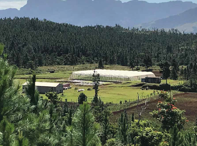 HYDRO FARM EG COMRIE.png