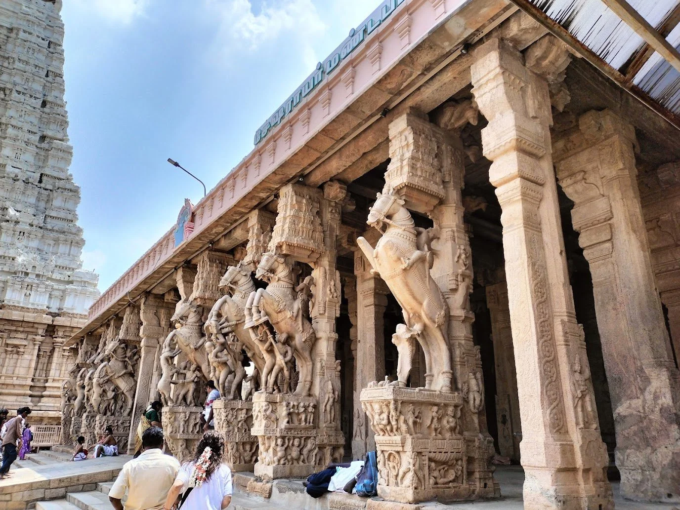 IMG20250227114740 (3).jpg