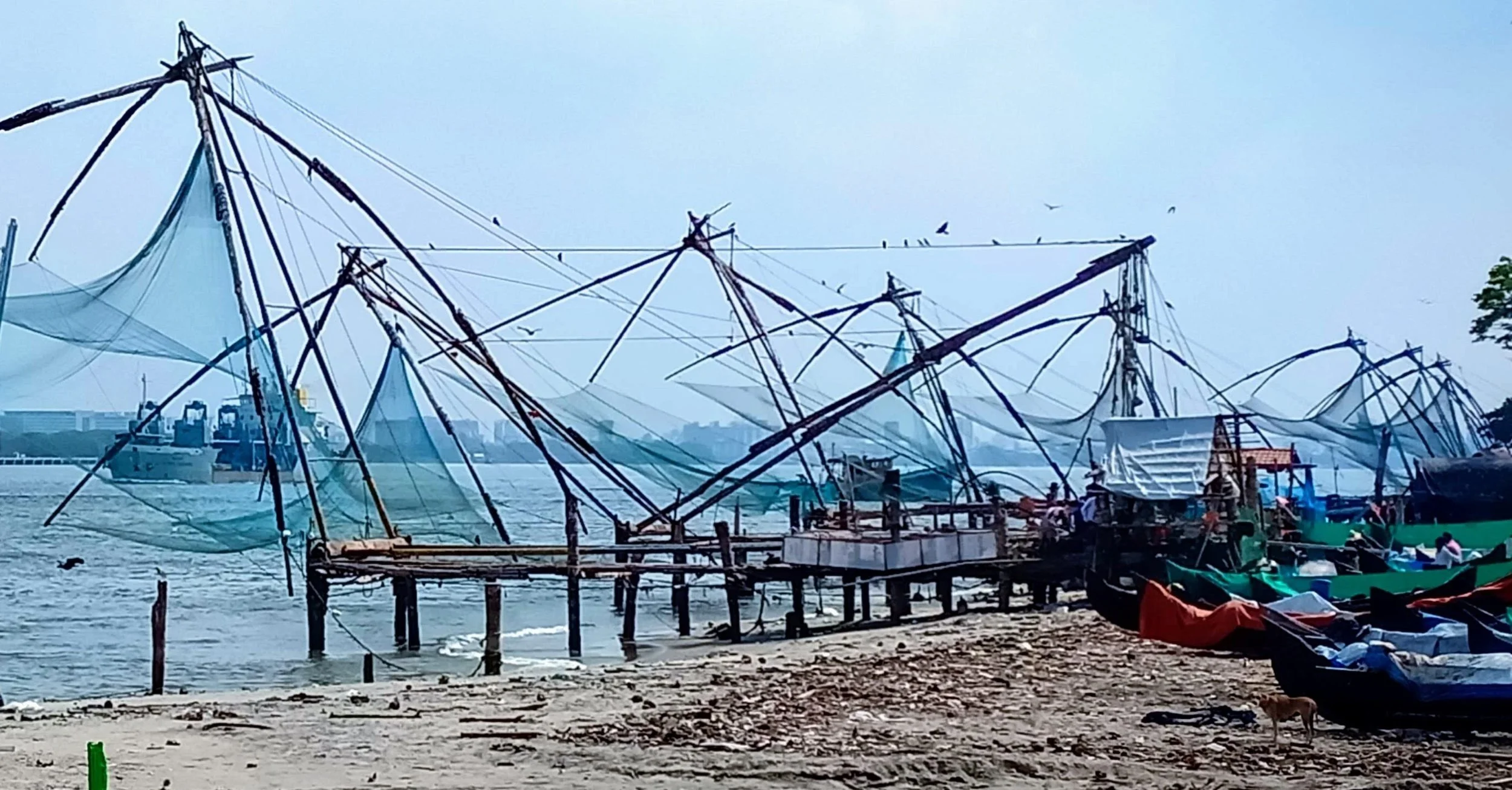 Kochi Kerala India Sur de India Redes de pesca