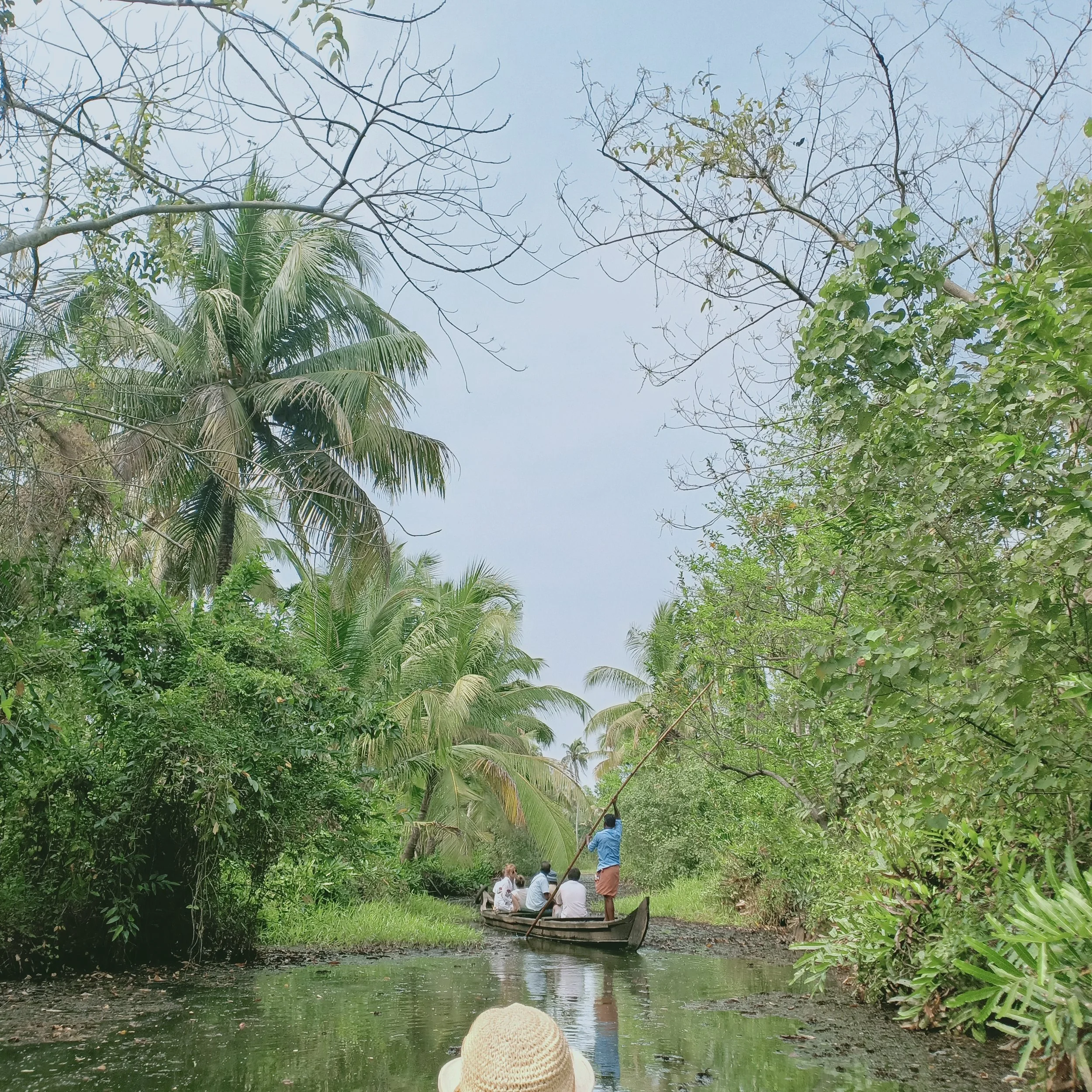 Backwaters Allepey kerala India Sur 