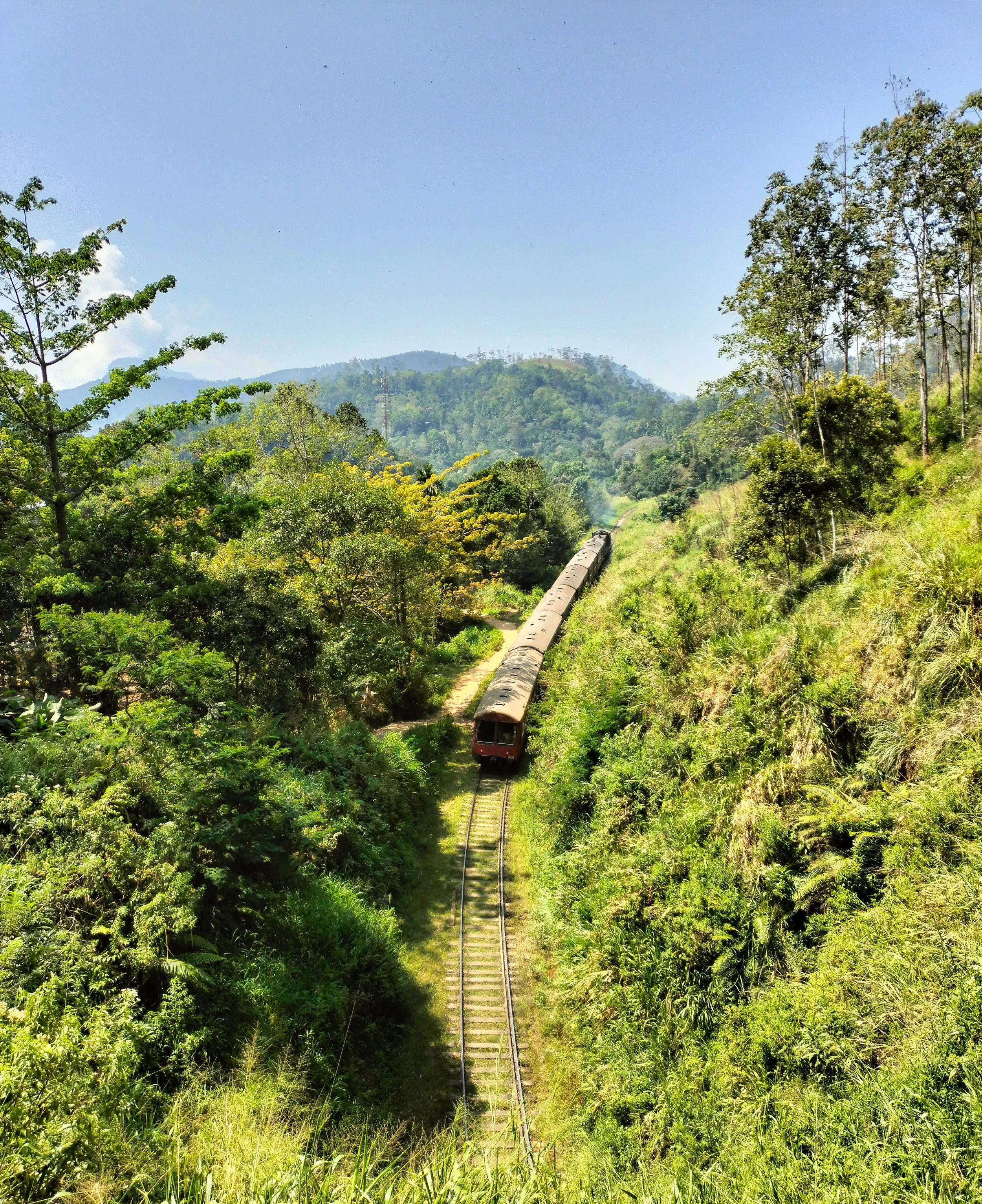 Un tren pasando por un paisaje de vegetación verde y colinas con un cielo despejado.