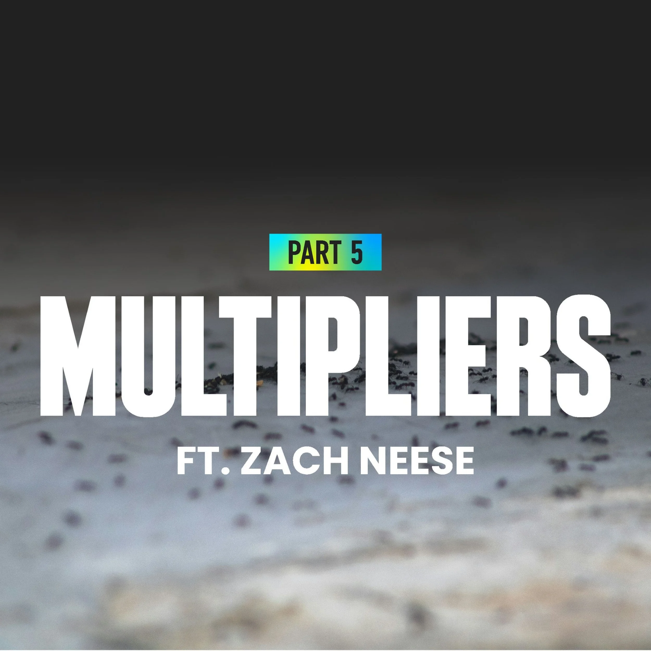 447 | MULTIPLIERS Part 5: A Million Ants in Our RV, Guarding the Doorways, and Freedom That Fights for Others (Ft. Zach Neese)