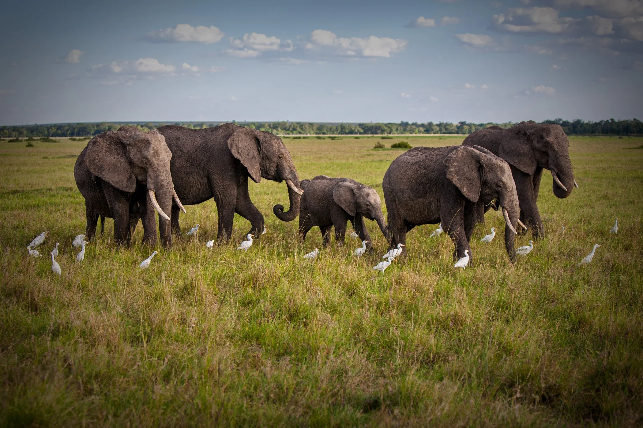 Africa - Kenya -0926.jpg