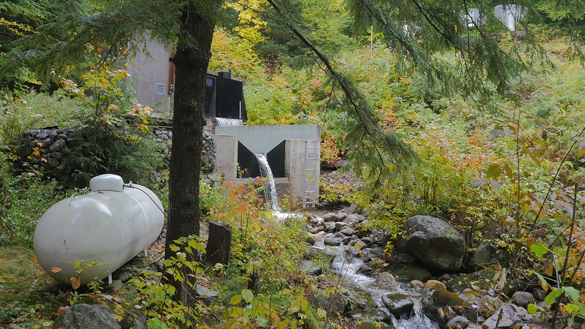 The Governance Gap Threatening Long-Term Ecological Archives