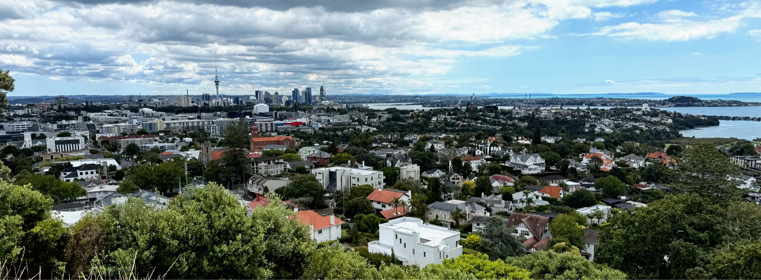 Photo looking over Remuera Auckland