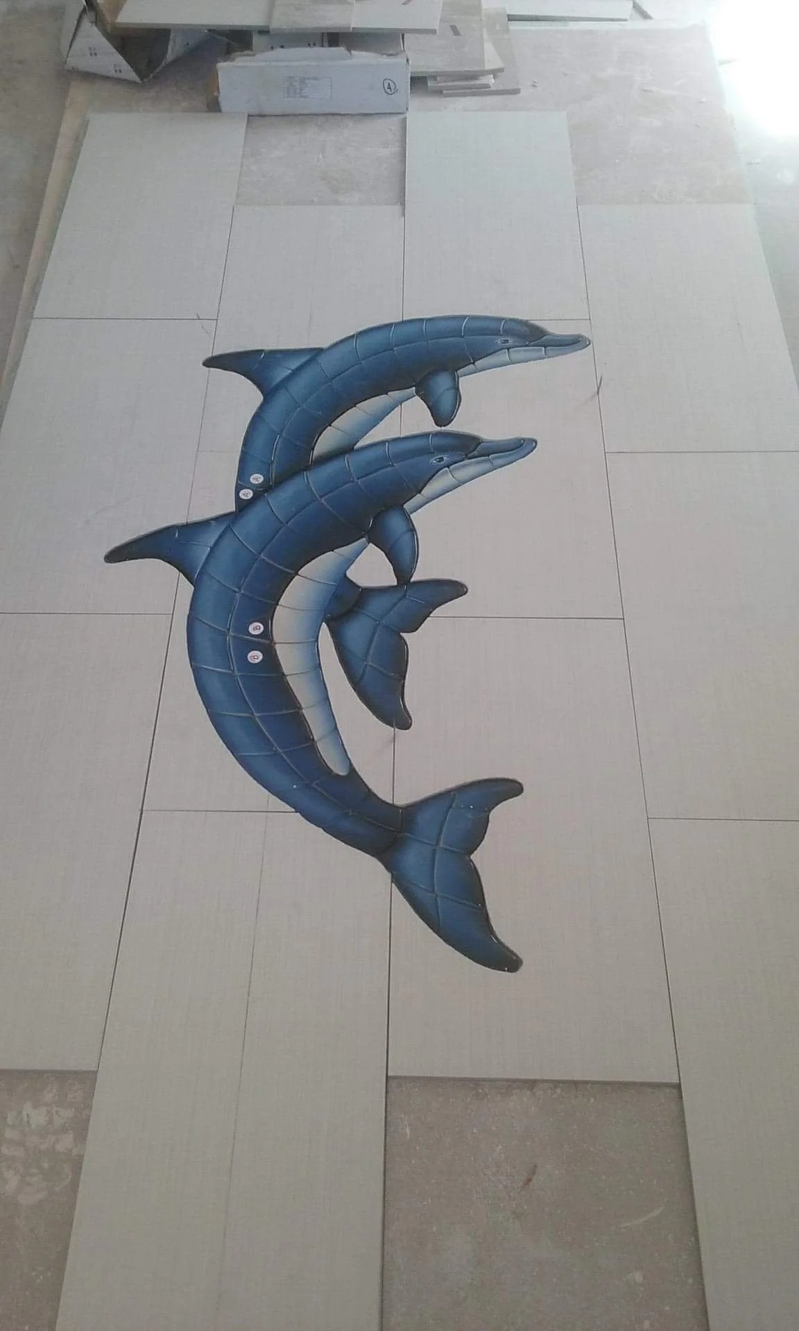 dolphin.jpeg
