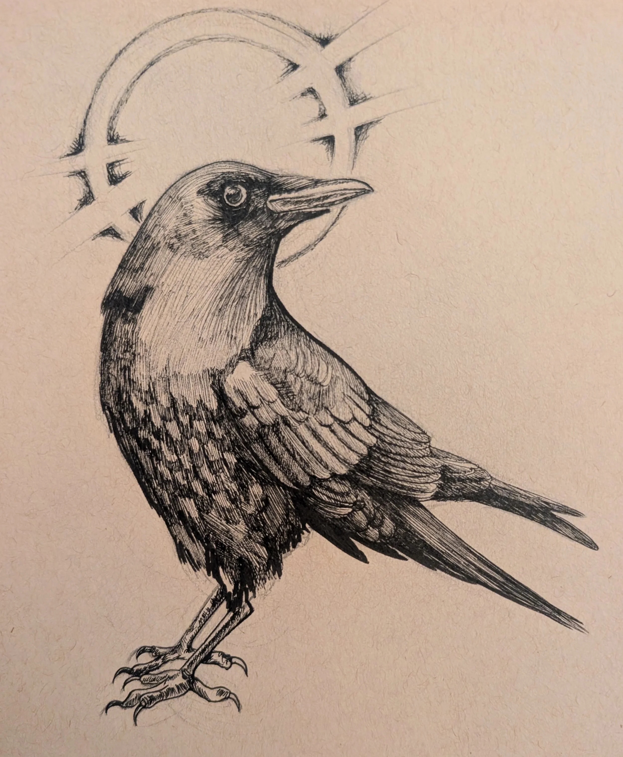 ink_crow-tattoo.jpg