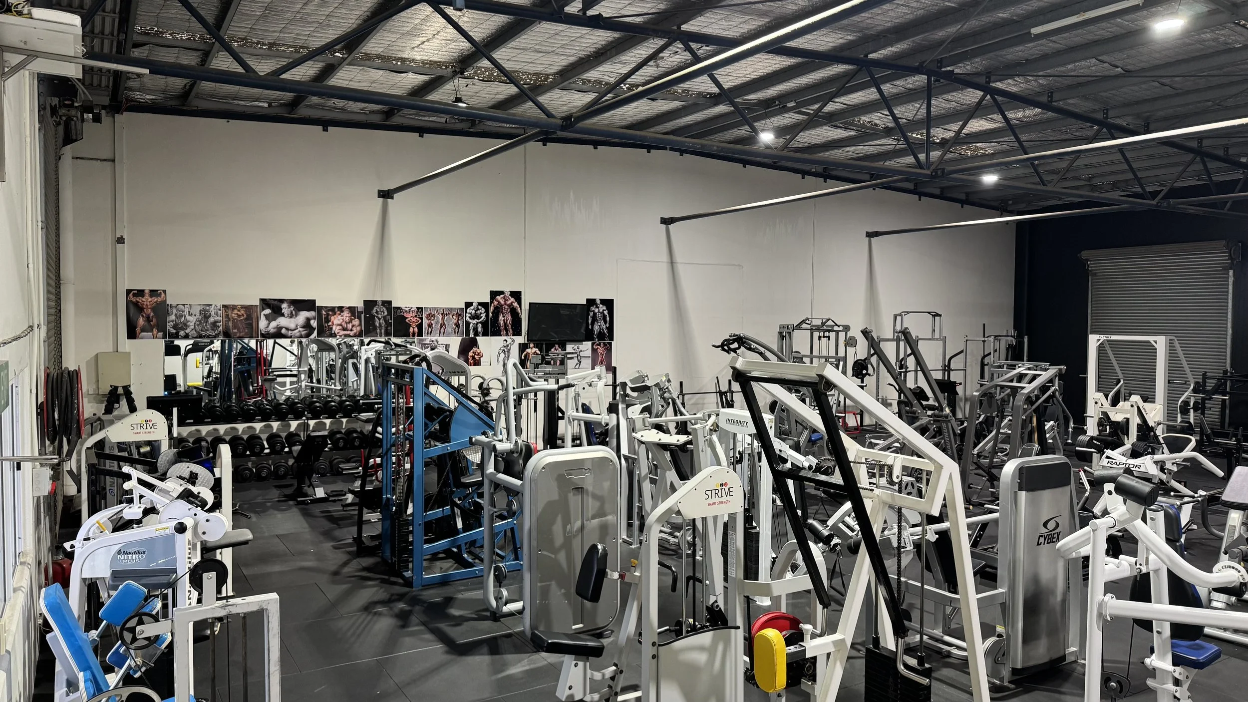 Bloodline Gym Newcomb