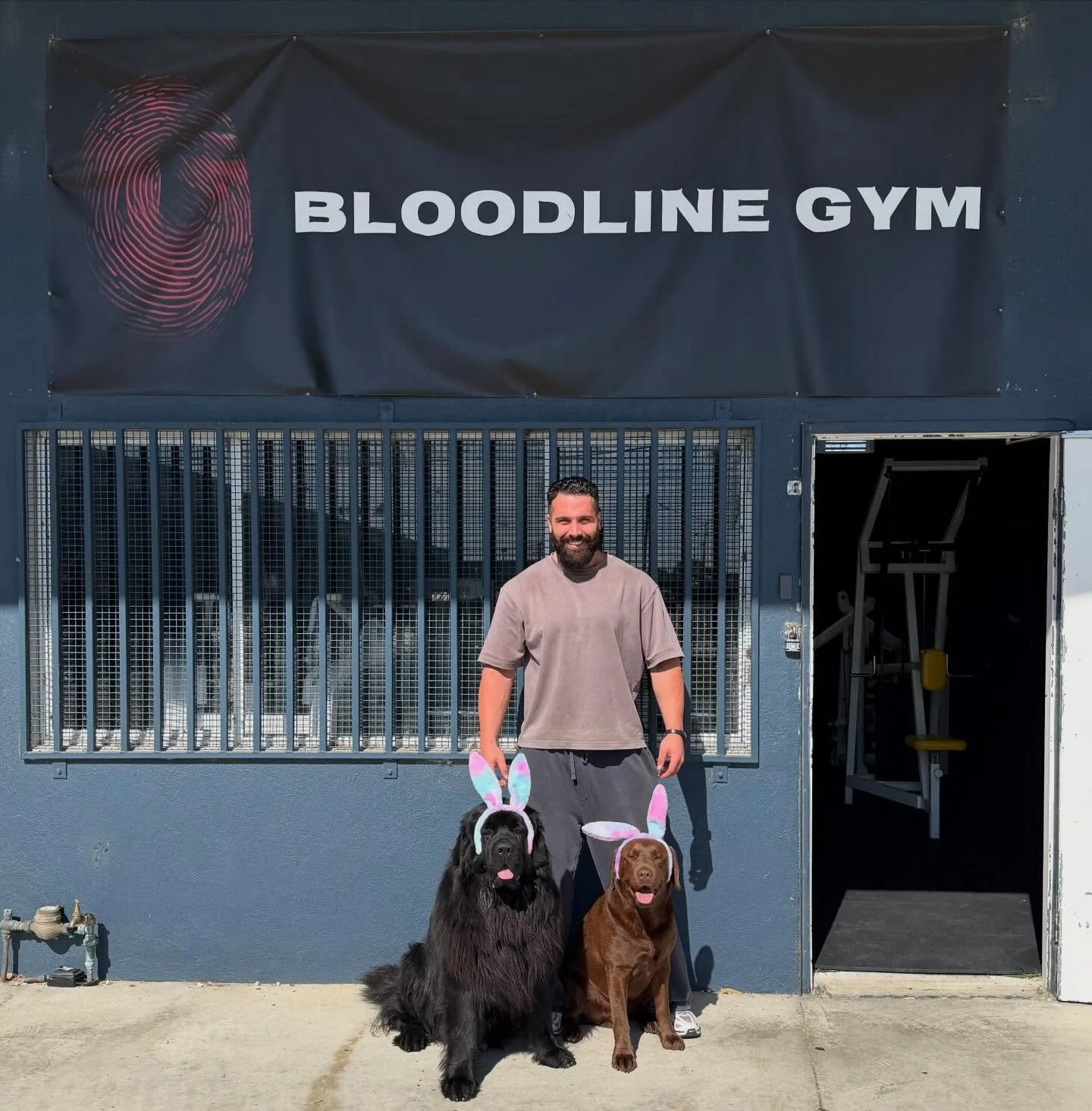 Happy Easter from Bloodline 🐰🐣