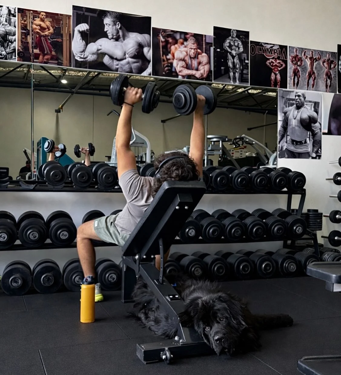 Making sure everyone&rsquo;s getting their lifts in this Saturday morning 🐾🩸💪