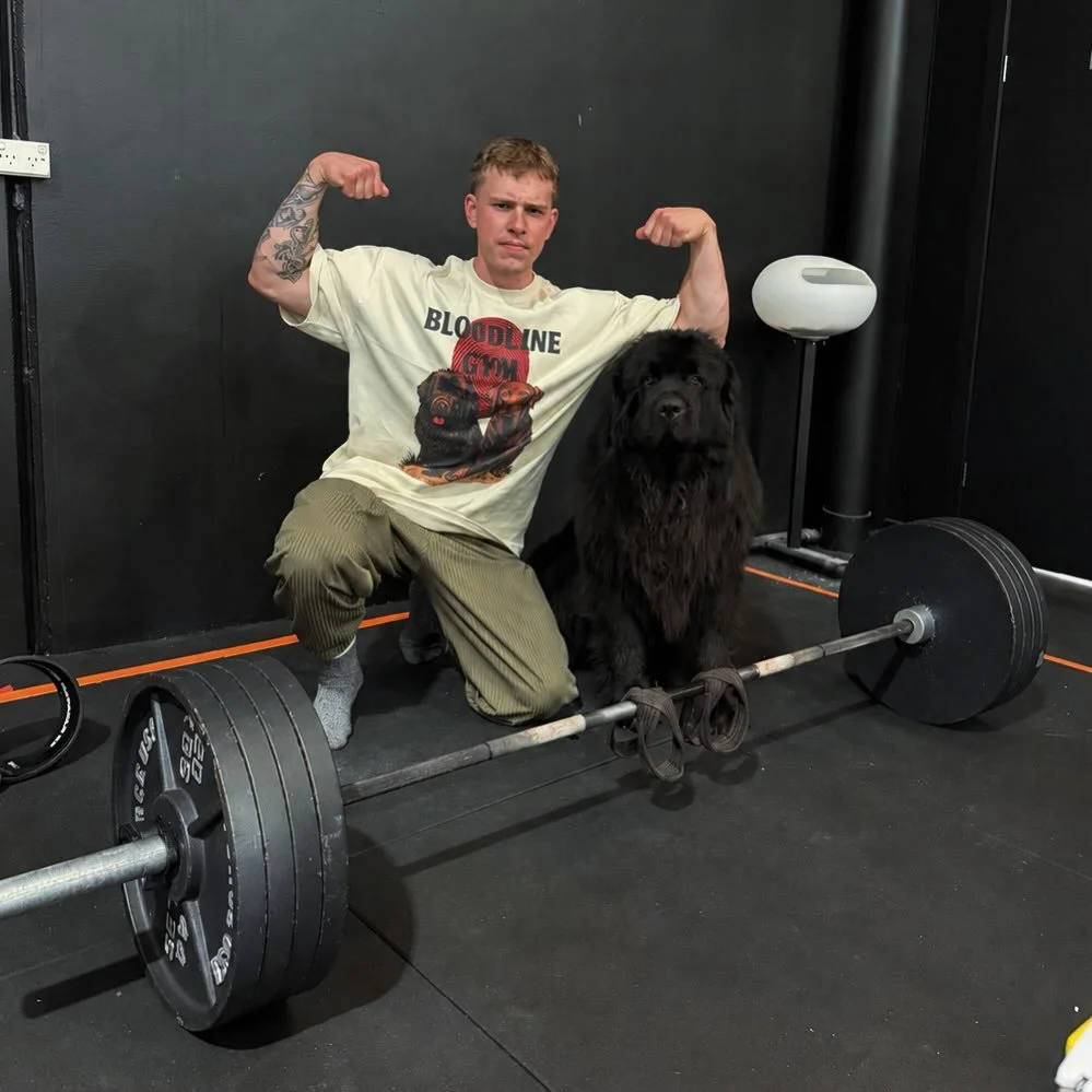 Just a few dawgs on deadlift day 🩸🐾