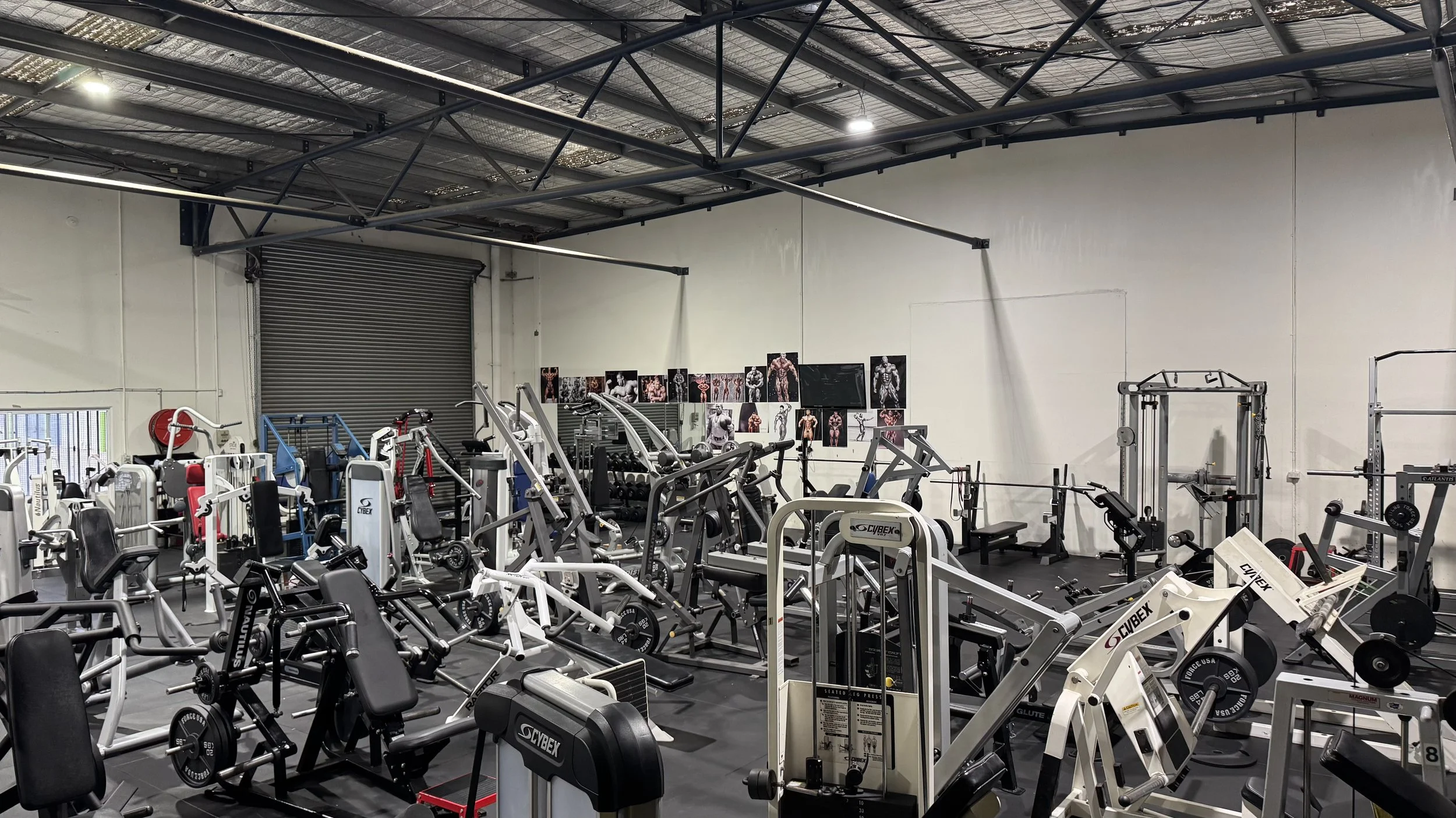 Bloodline Gym Newcomb