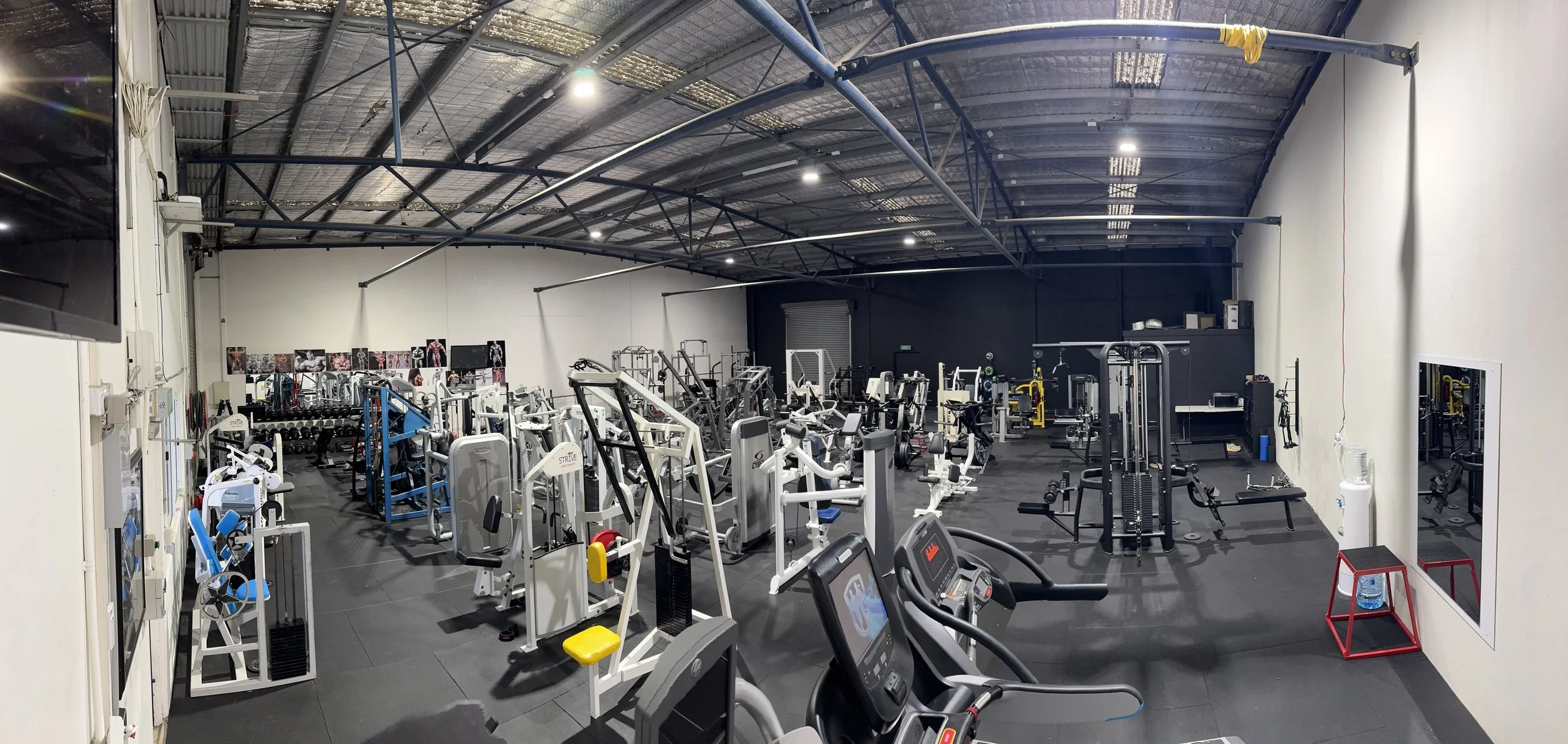 Bloodline Gym Newcomb