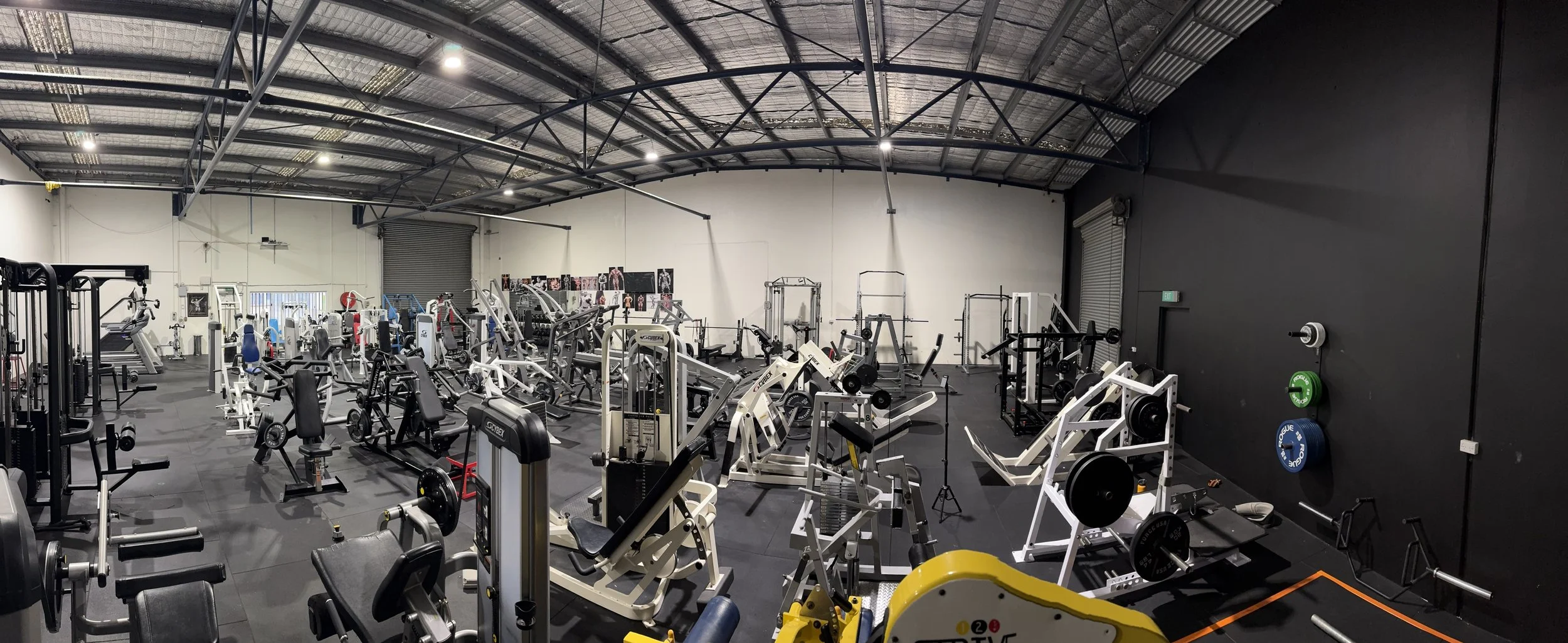 Bloodline Gym Newcomb