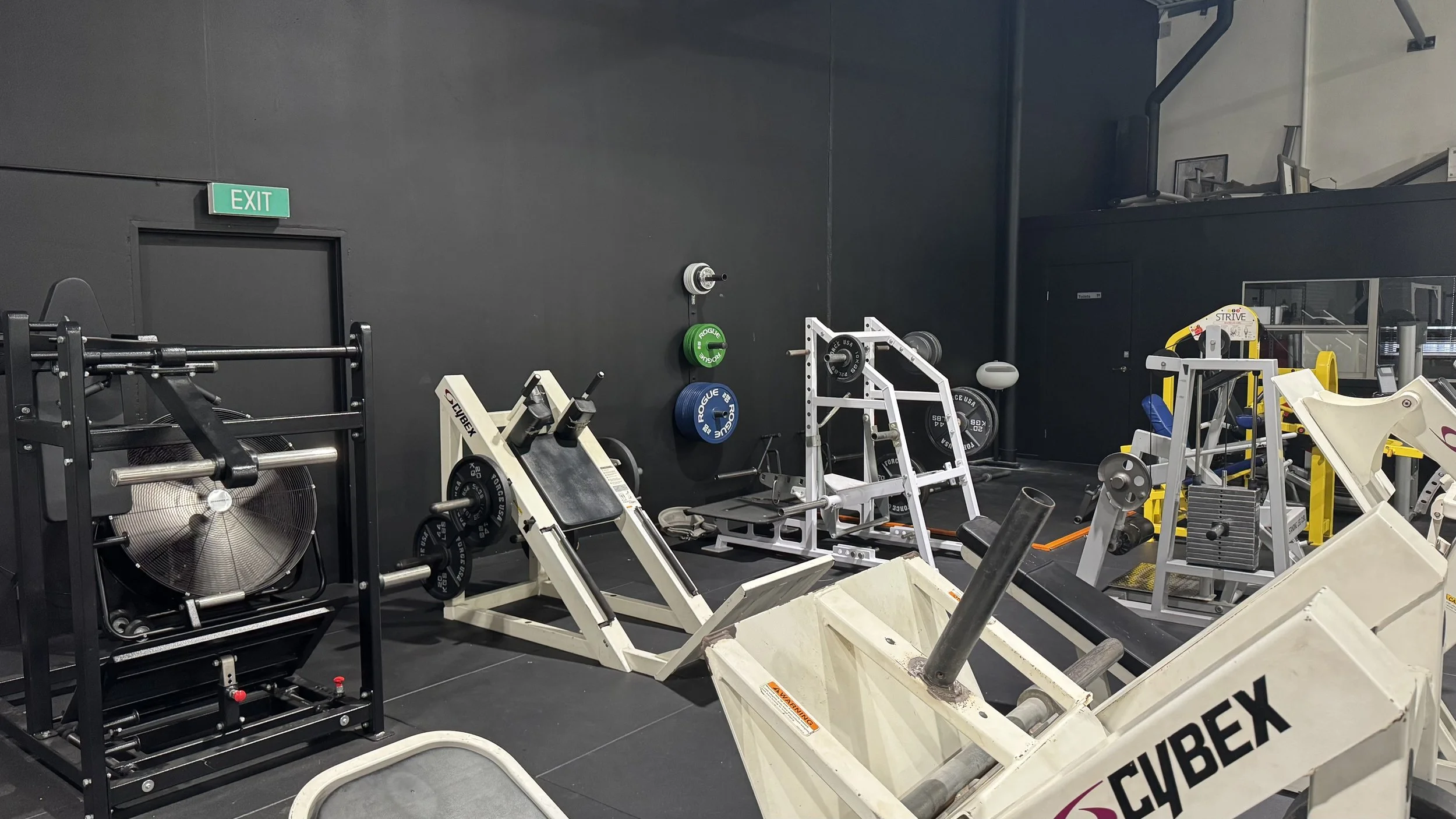 Cybex Leg Equipment