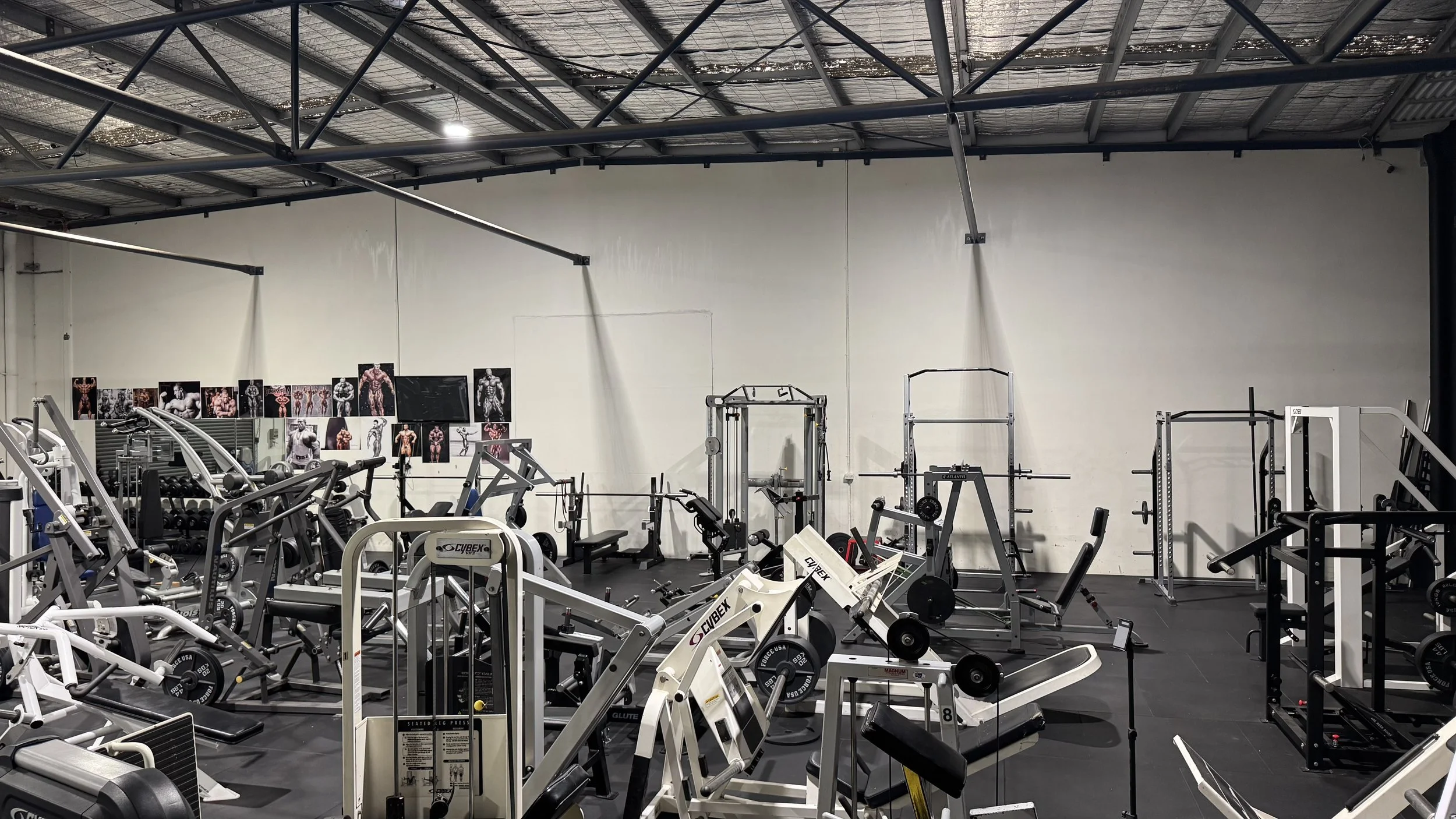 Bloodline Gym Newcomb