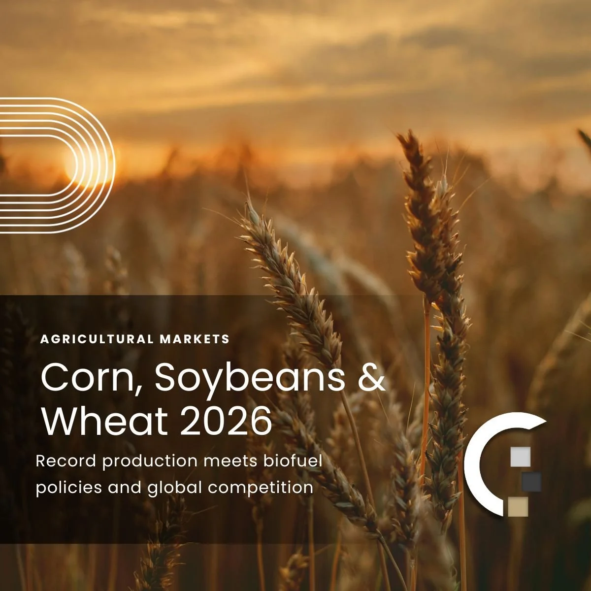 Agricultural Commodity Trading 2026: Corn, Soybeans &amp; Wheat