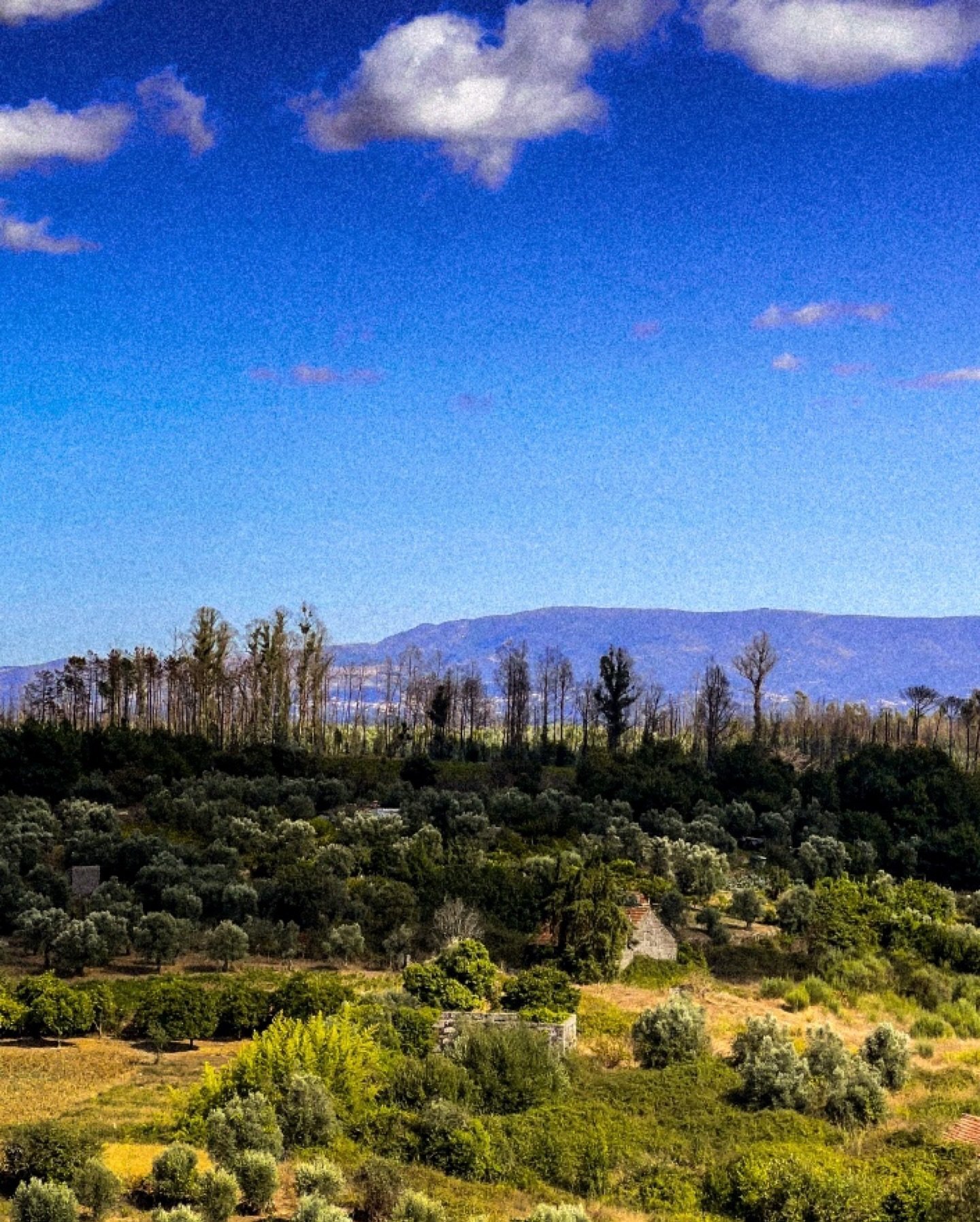 🇵🇹🍷❤️Made it to D&atilde;o and by chance, the D&atilde;o wine festival is today! 🙌 

Oh, and this is the view out of the room at @purodaohotelspa🌄

 Wellppp, off to a tasting at @qtaboadella and to party it up at the festival!