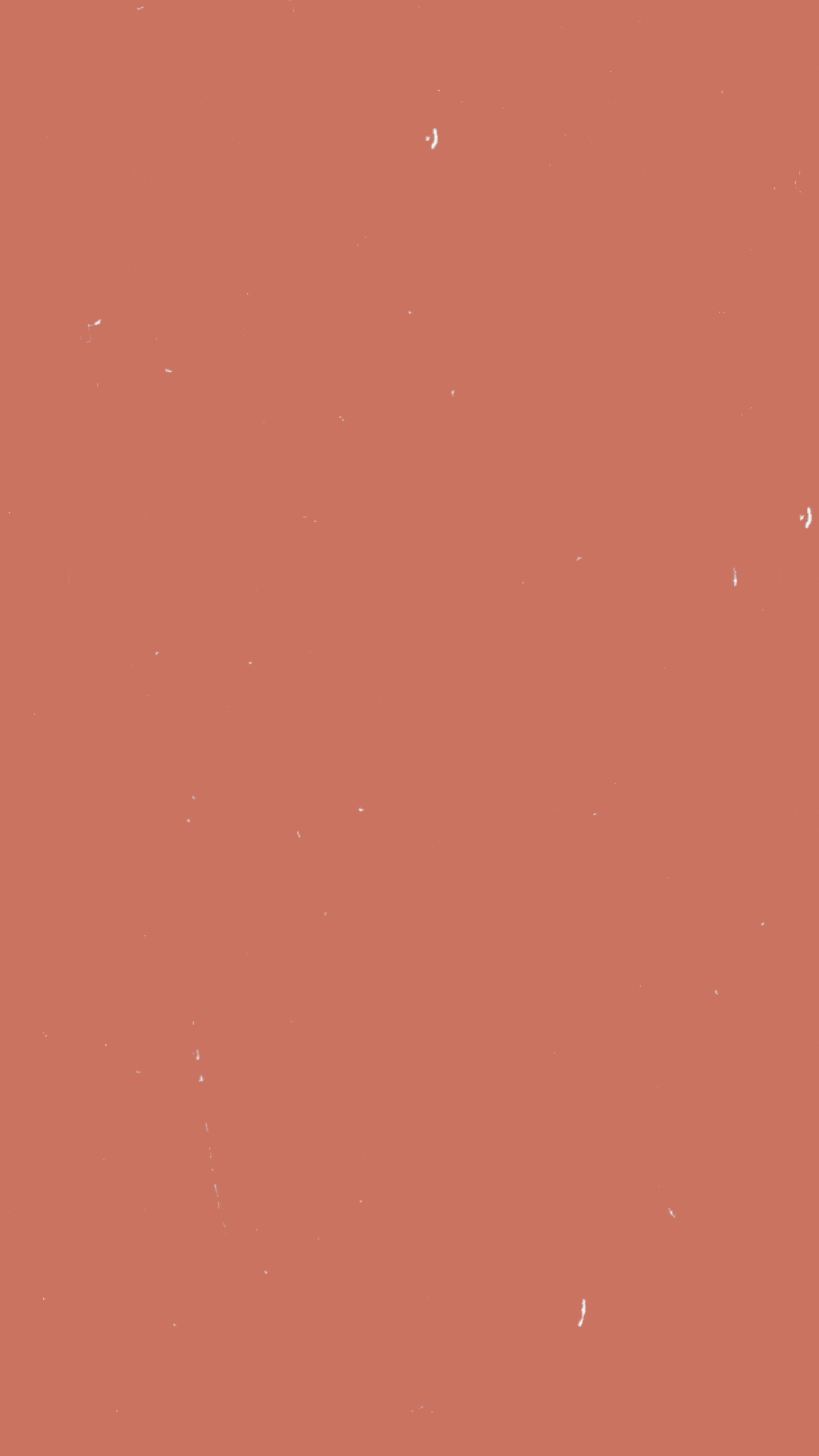 Olesia_Ilina_bakery_eclair_2.gif