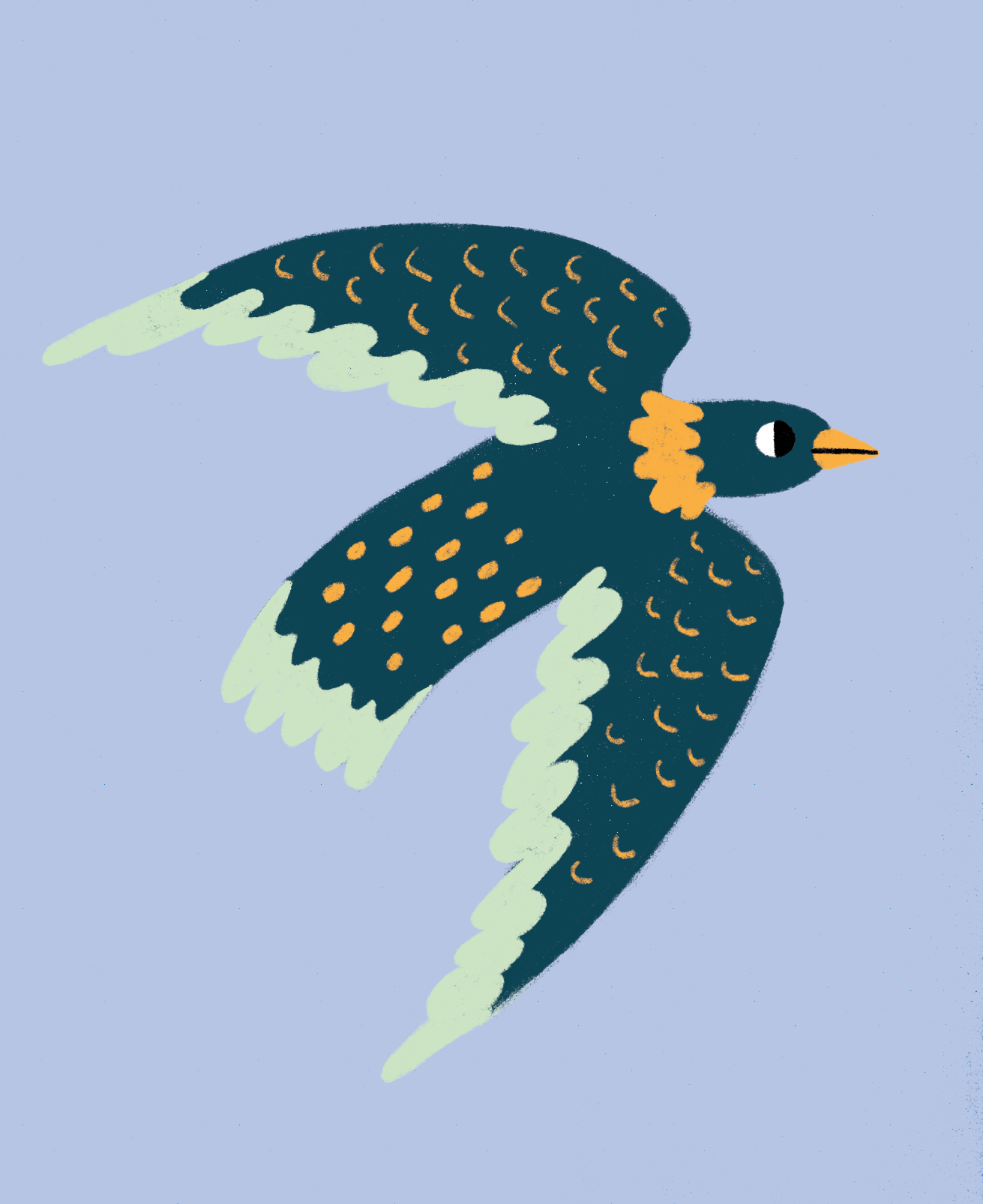 Olesia_Ilina_cards_animal_Bird.png