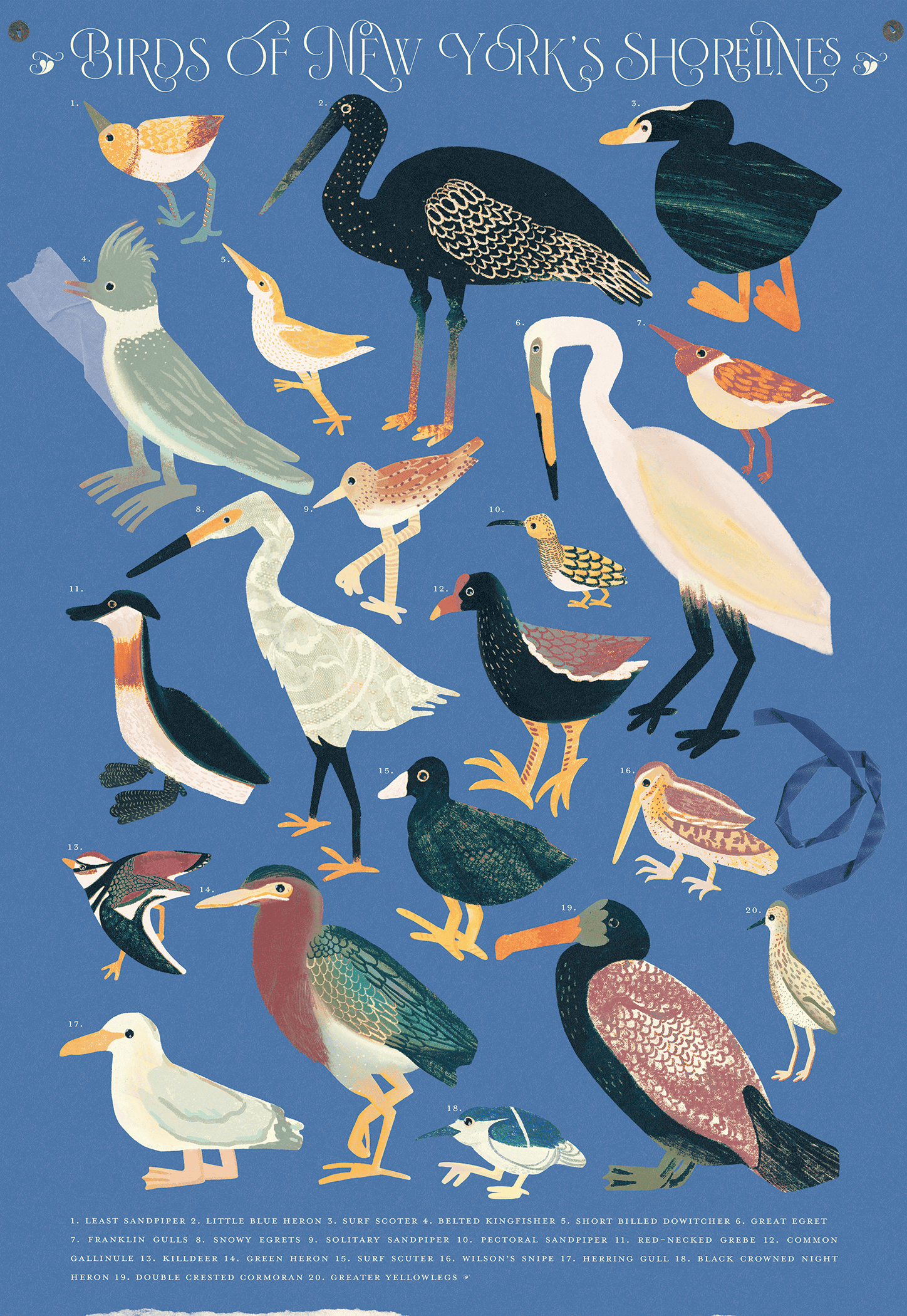 Olesia_Ilina_seashore_birds.png