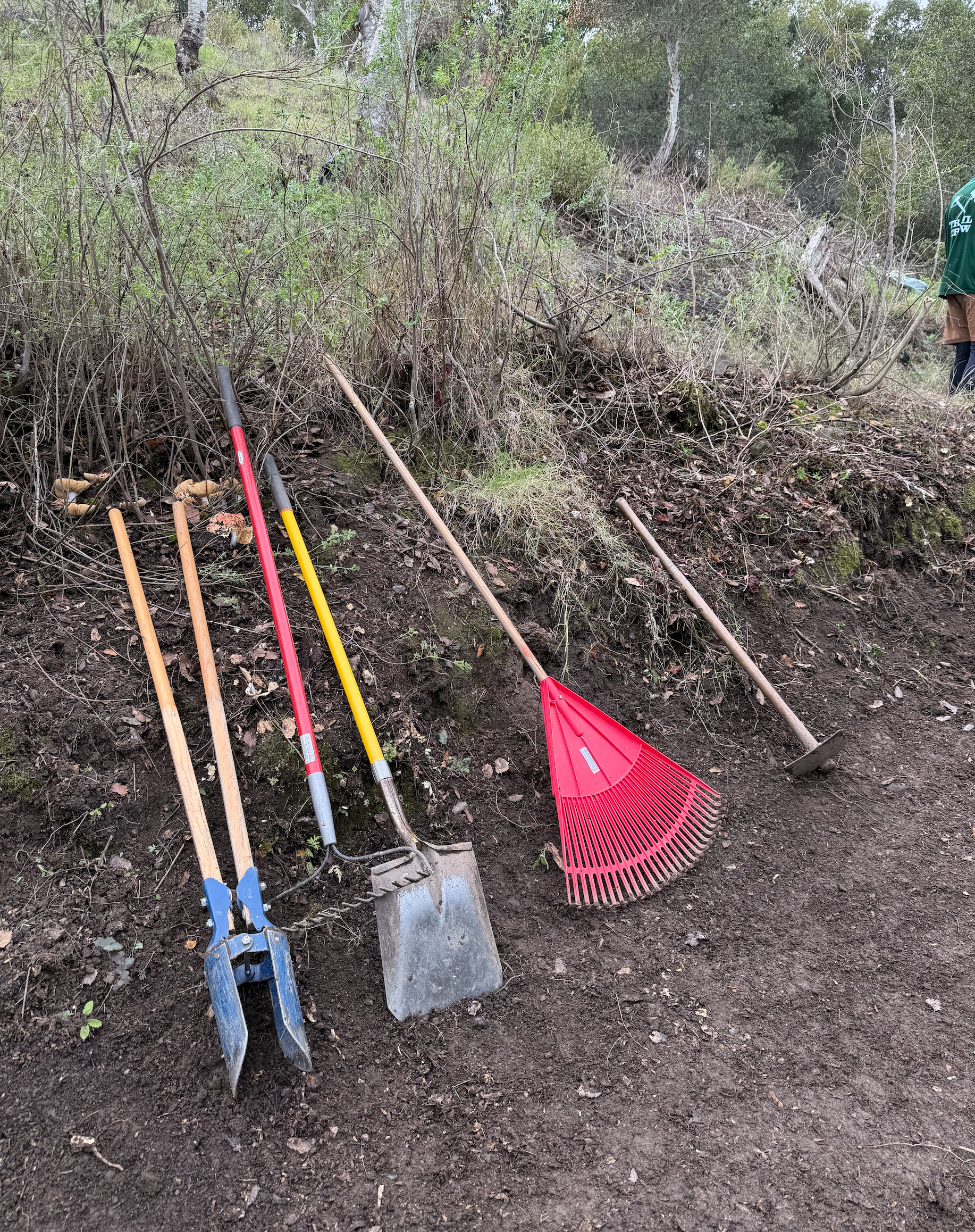 Trail Work Day with Marin County Open Space
