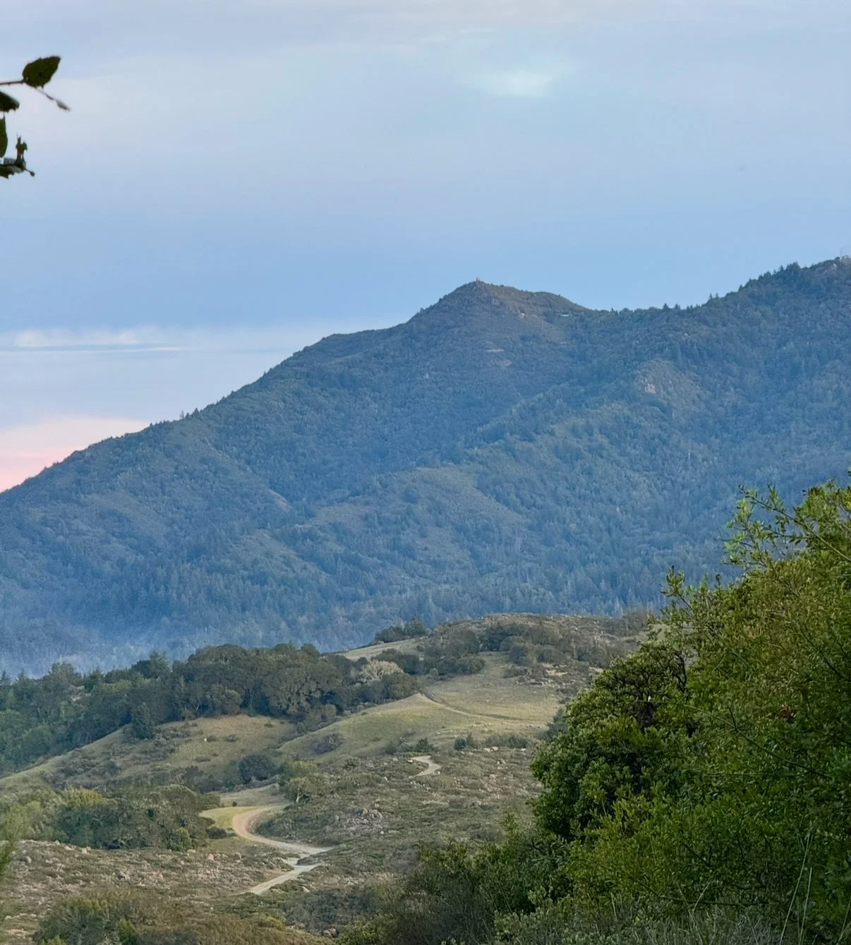 Marin Water Site Walk #1