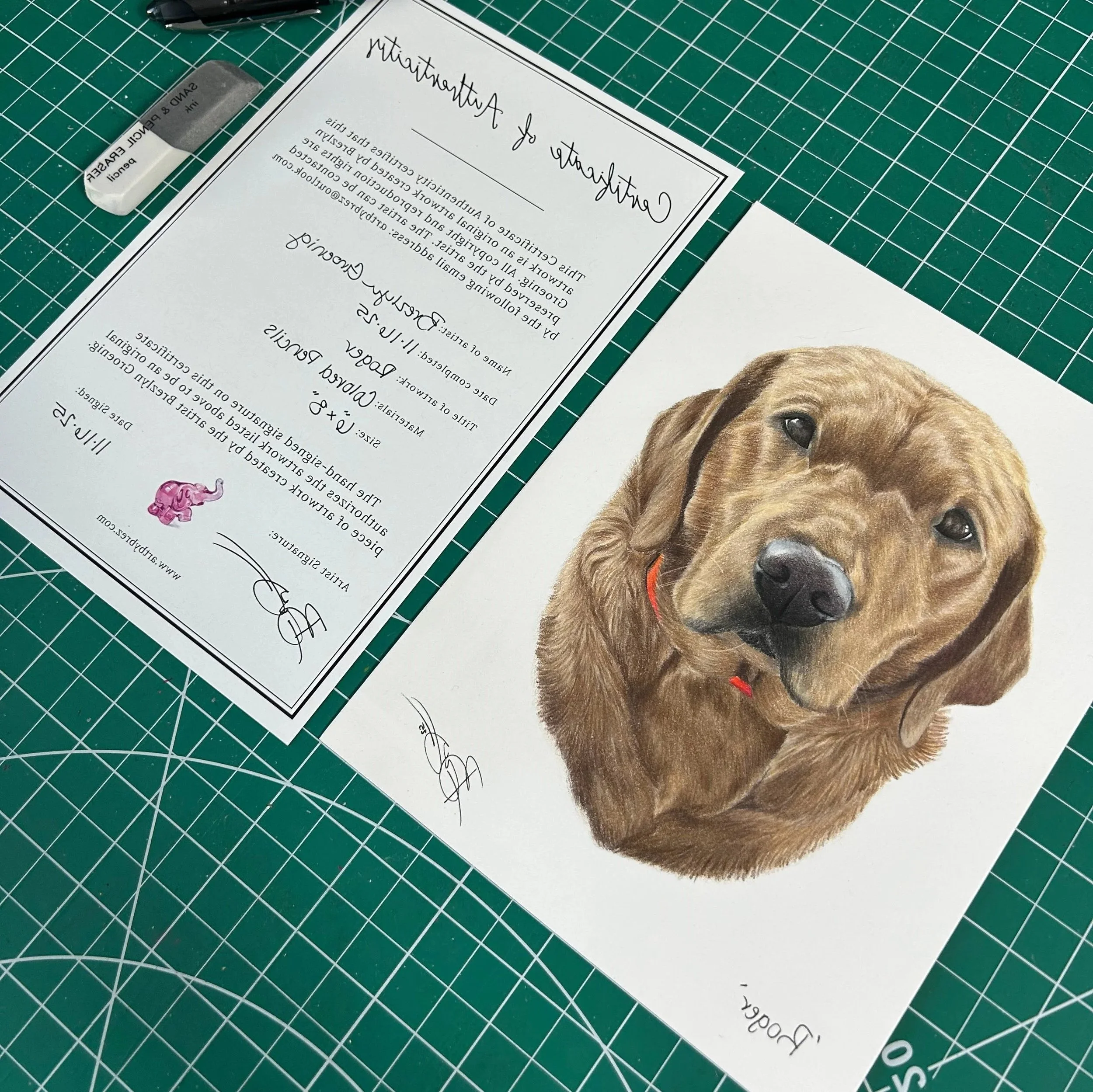 A detailed colored pencil drawing of a golden retriever puppy on white paper, placed on a green cutting mat. Next to it is a certificate of authenticity and a silver pen. The puppy has a slight tilt to its head, dark eyes, and a black nose.