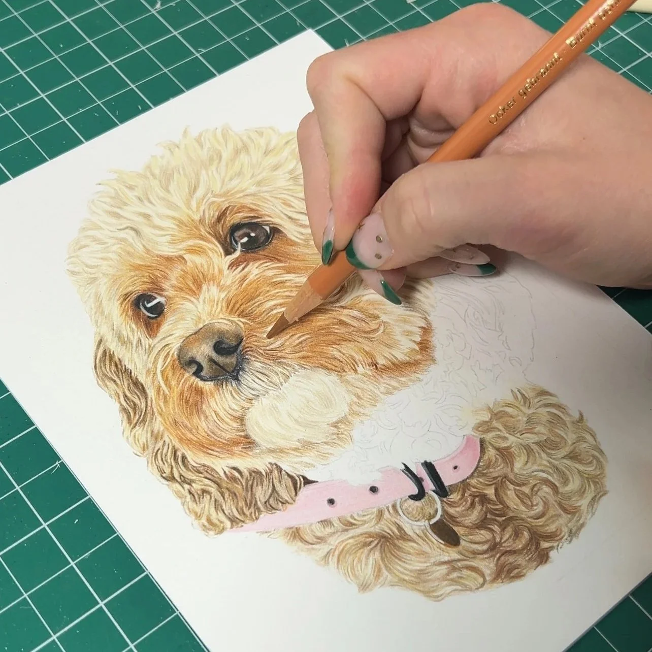 A person coloring a detailed illustration of a dog with curly fur and dark eyes, wearing a pink collar with a black buckle, on white paper.