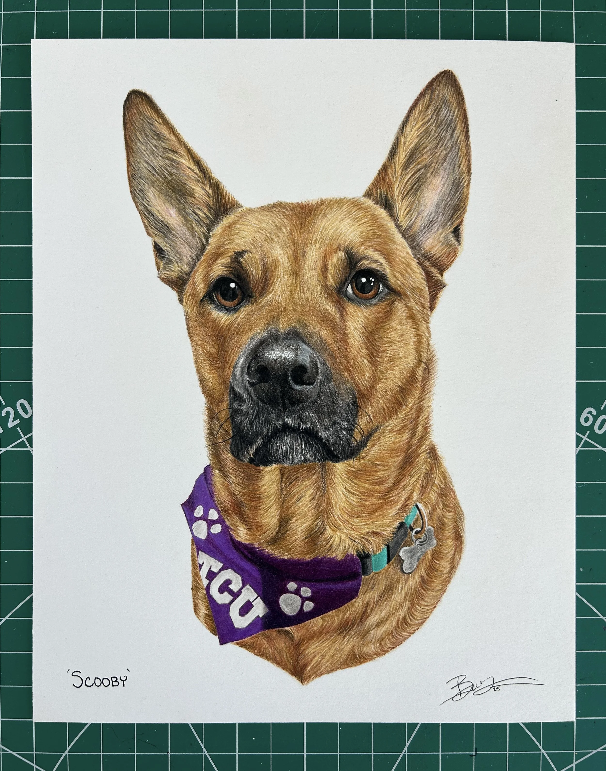 Colorful realistic drawing of a brown dog with upright ears, wearing a purple bandana with paw prints and the text "SCOOBY," on a white background, on a green cutting mat.