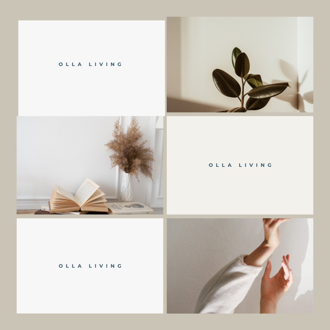 OLLA LIVING.png