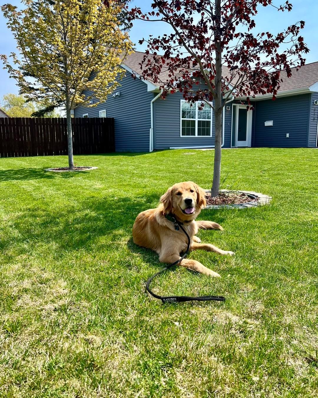 Sidney is back home today after completing her two-week Stay &amp; Train program with us! During her time here, she made excellent progress. She now has a solid foundation set and we&rsquo;re so proud of how far she&rsquo;s come.

Even more encouragi